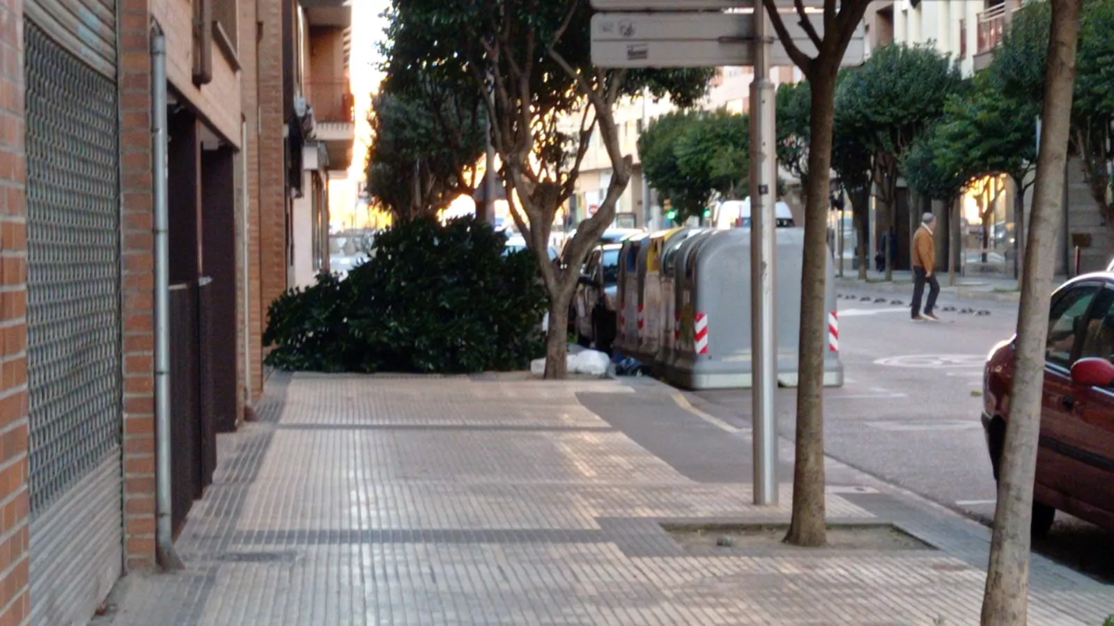 El árbol atraviesa la acera en la calle Tarbes
