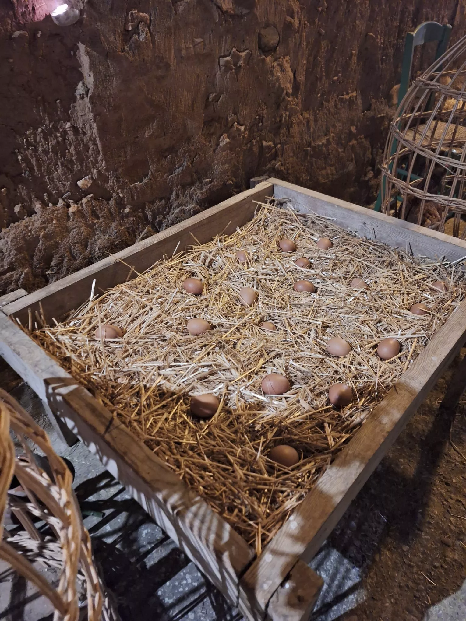 Belén Viviente de Estadilla. Foto Sonia Blanco