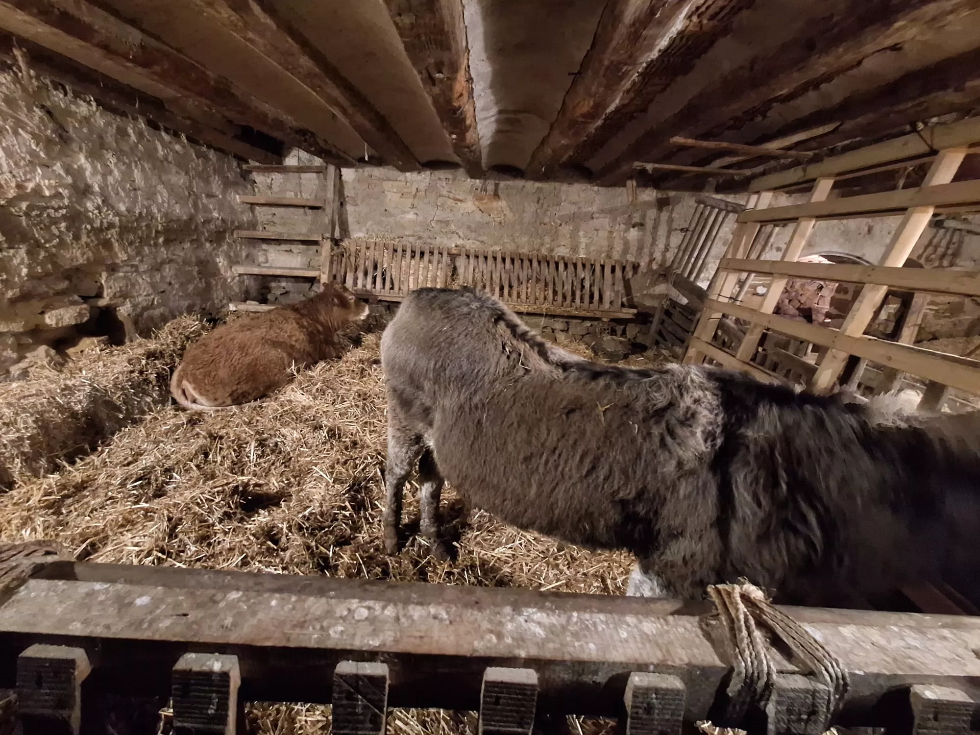 Belén Viviente de Estadilla. Foto Sonia Blanco