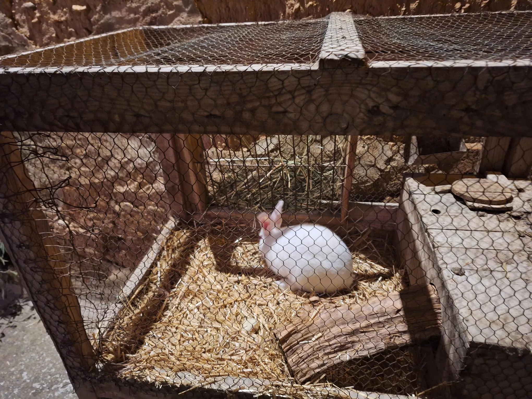 Belén Viviente de Estadilla. Foto Sonia Blanco