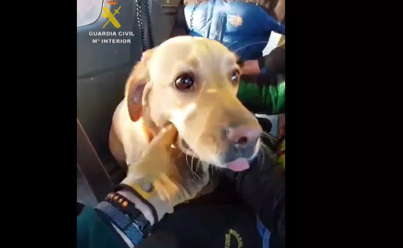 Los Greim rescatan en Año Nuevo a un oscense que se extravió con su perro en San Julián de Banzo.