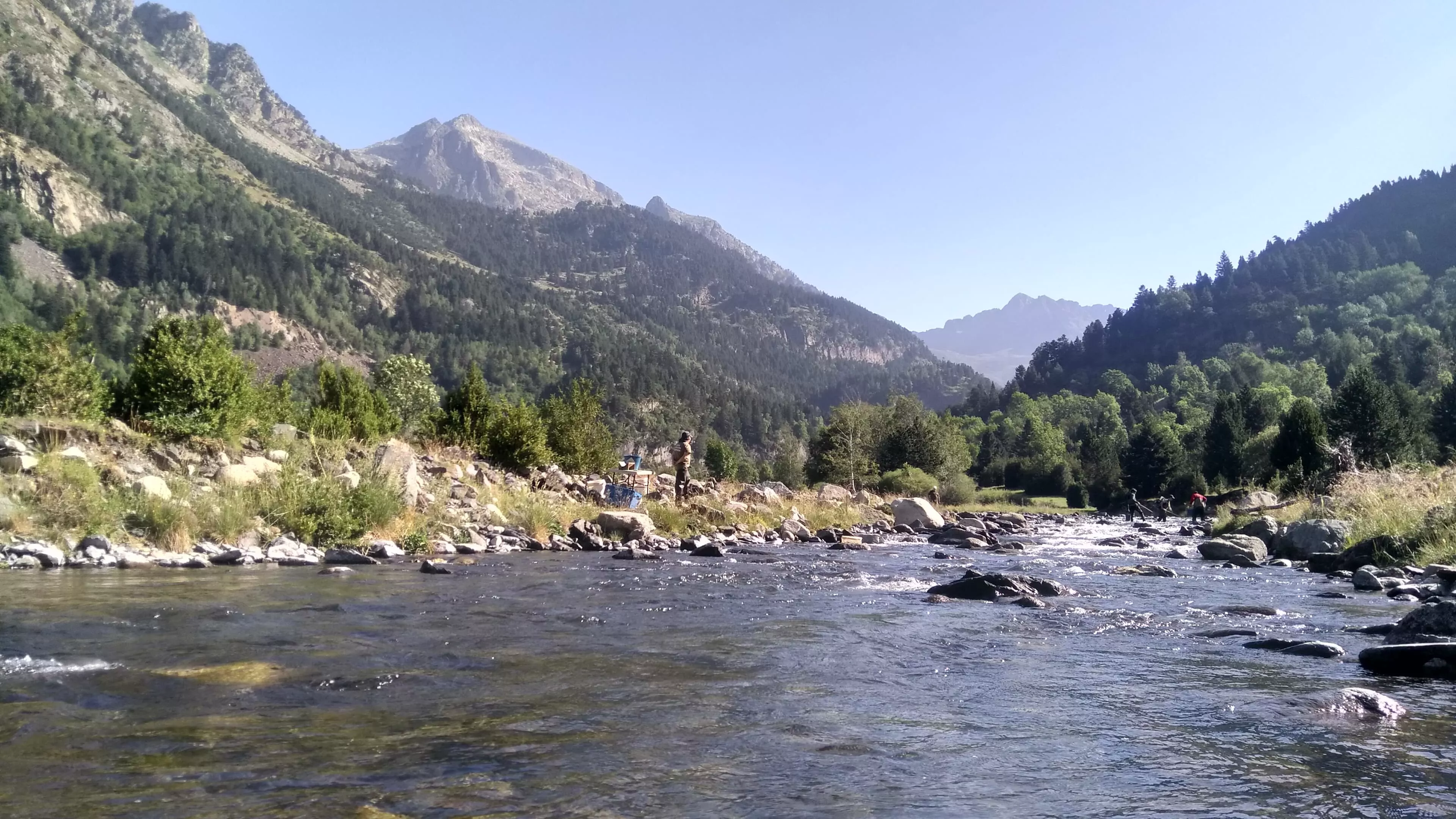 Pesca en el río Ésera, coto social Baños de Benasque.