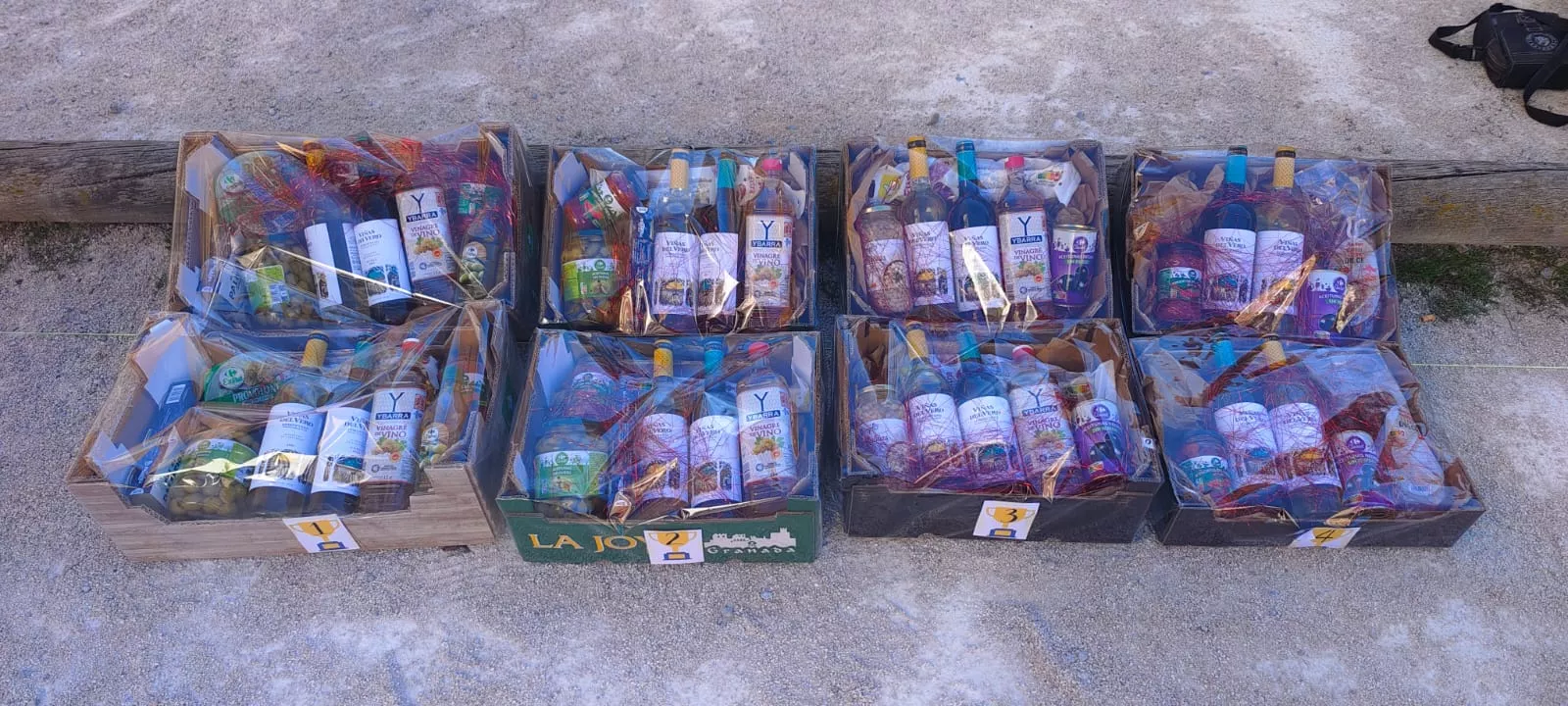 Torneo de Reyes de petanca 