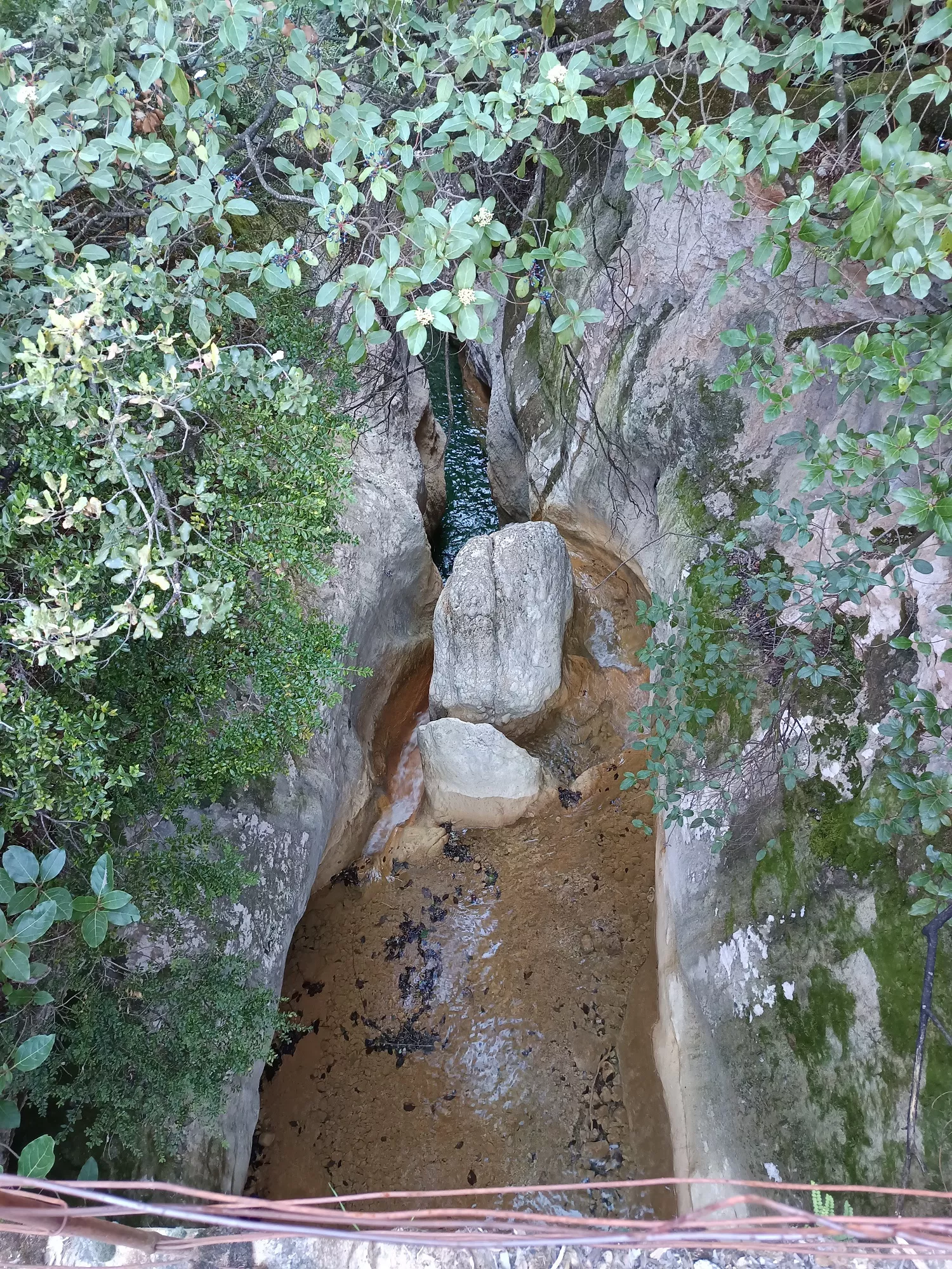 Barrancos, cuevas y bosques por la falda de Guara. Foto Peña Guara