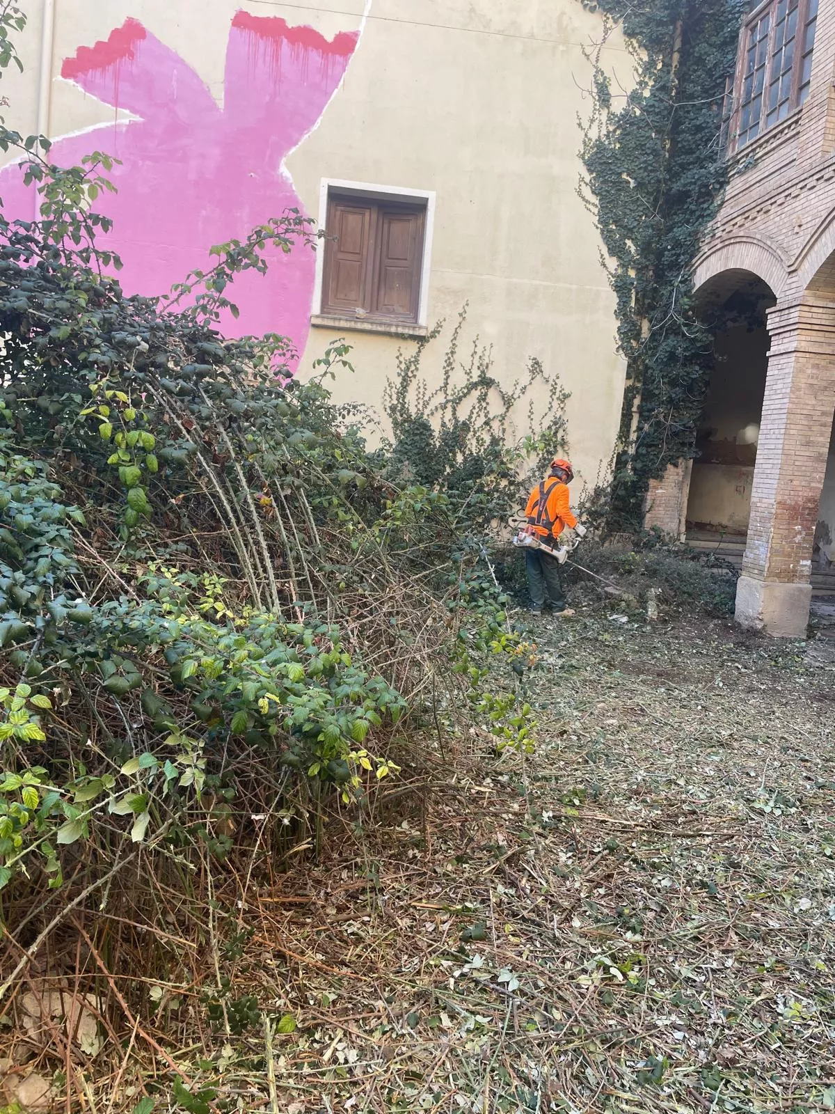 Operarios trabajando en el desbroce de los patios interiores del Seminario de Huesca.