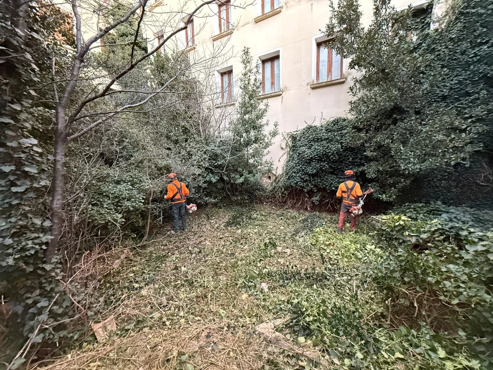 Desbroce de los patios interiores del Seminario de Huesca.