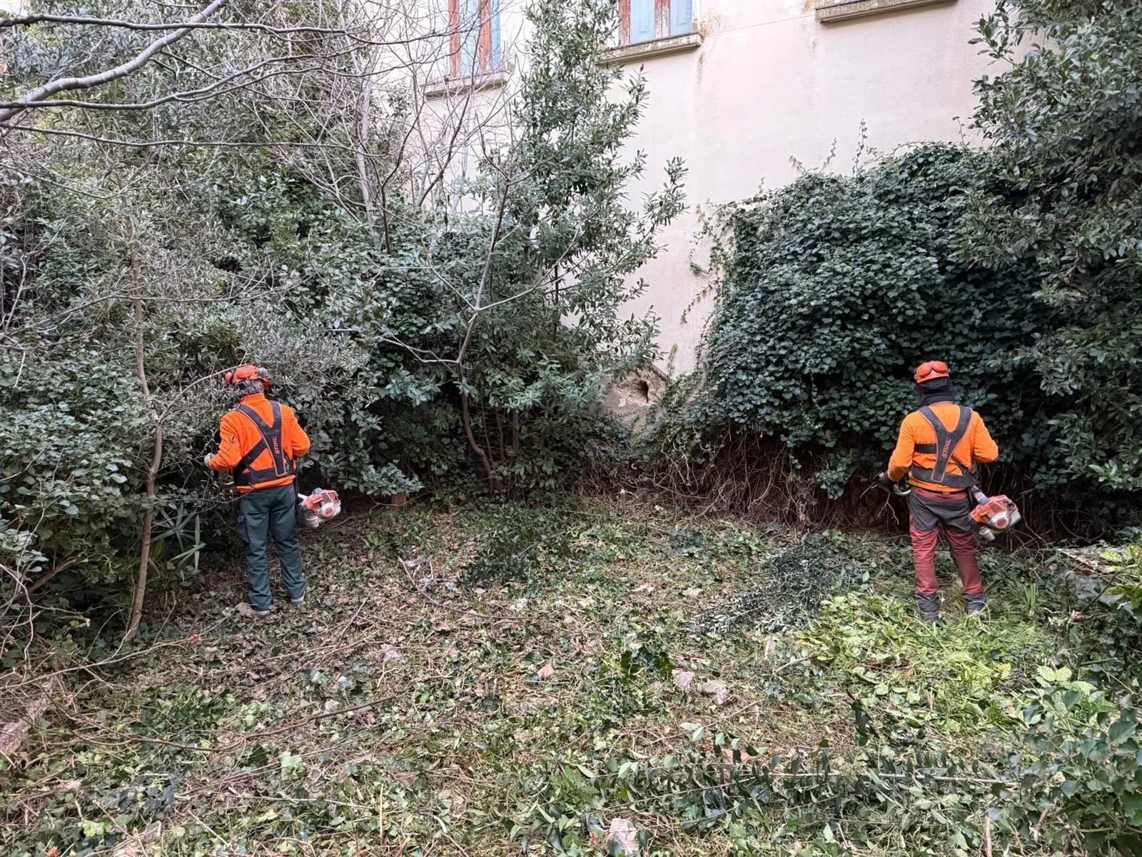 Desbroce de los patios interiores del Seminario de Huesca.