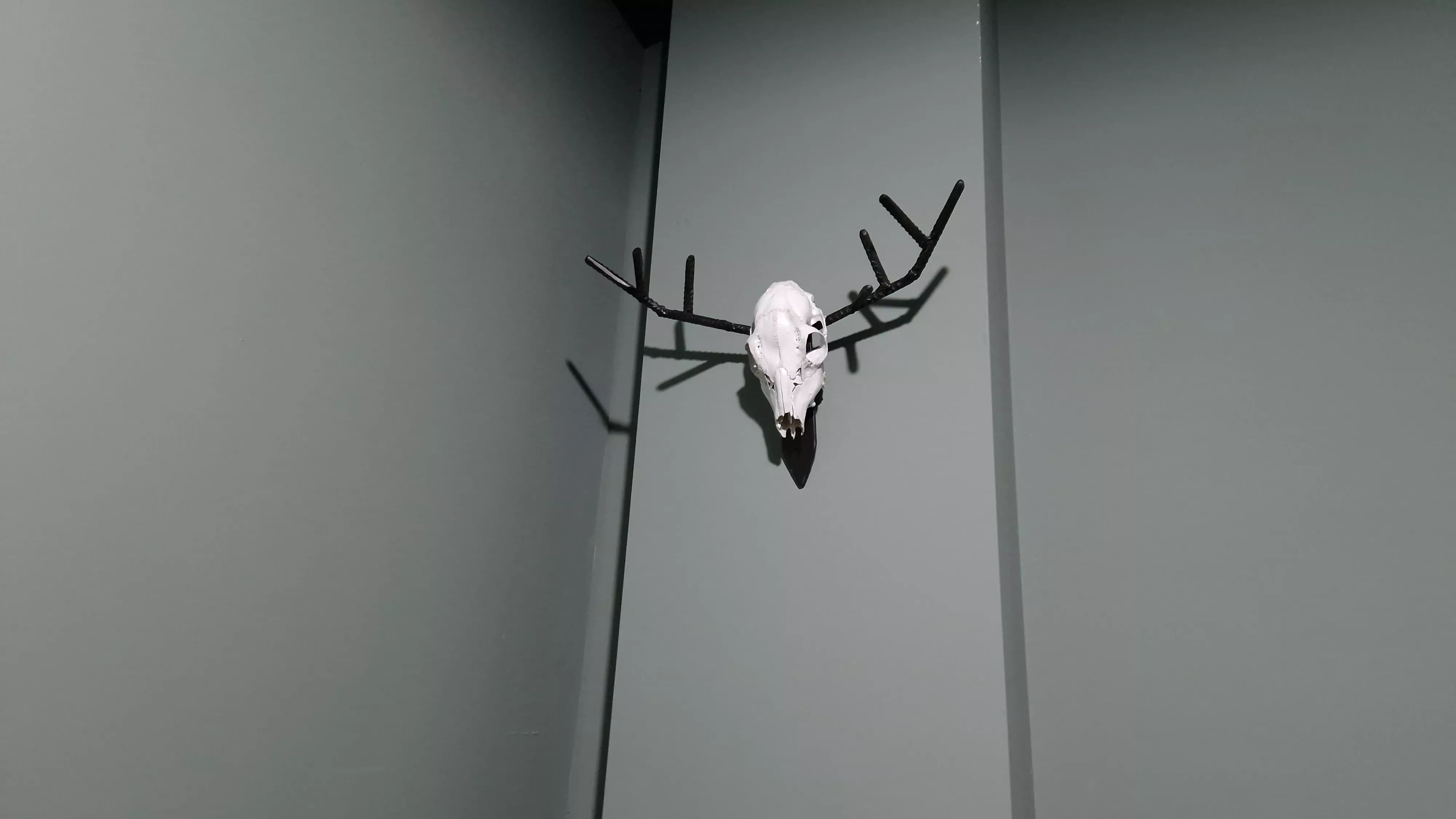 Exposición de Nico Malo en Oscape. Foto Myriam Martínez