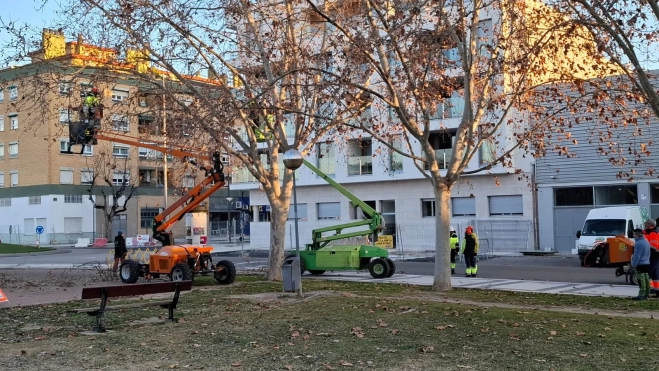 Trabajos en copas de árboles de Huesca. Trabajos en copas de árboles de Huesca.