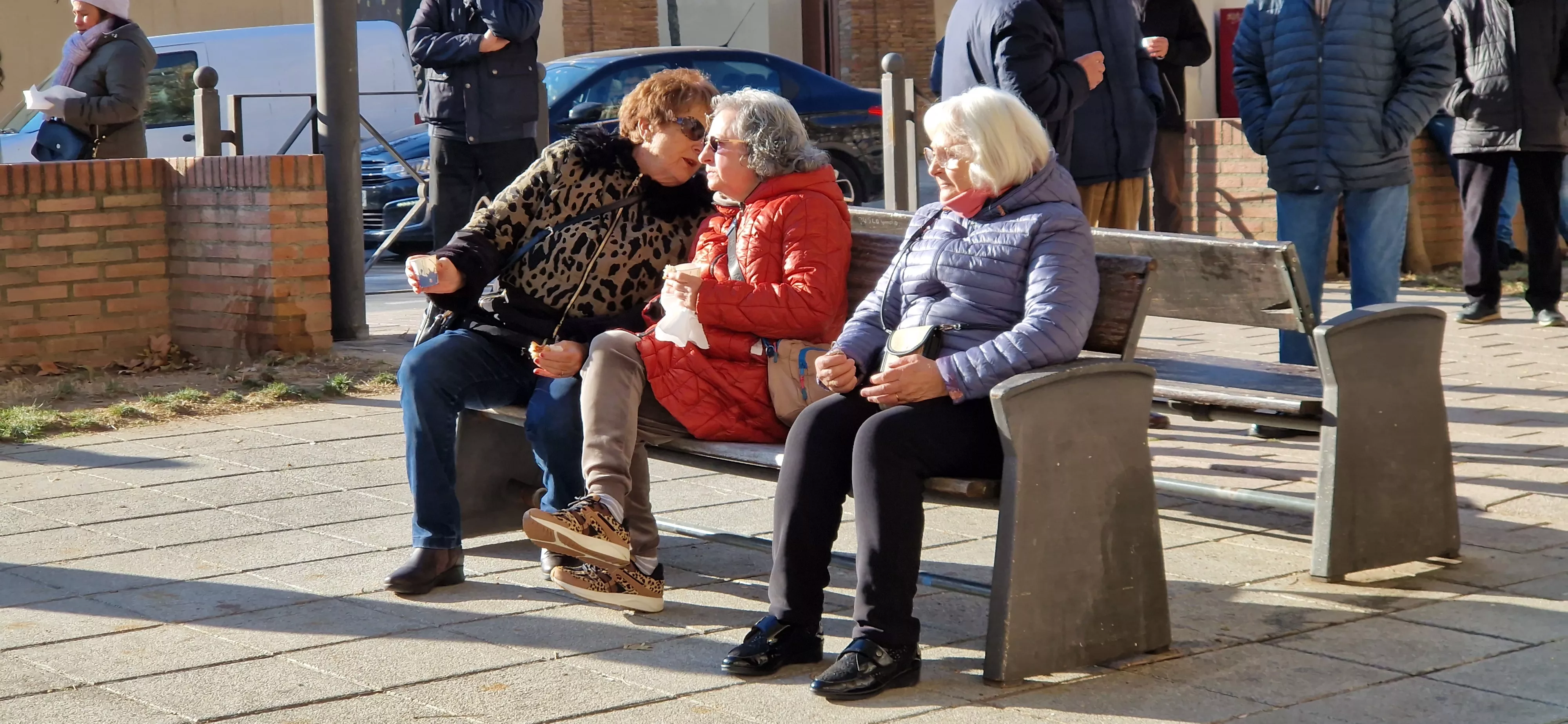 Bendición de animales por San Antón. Foto Myriam Martínez 