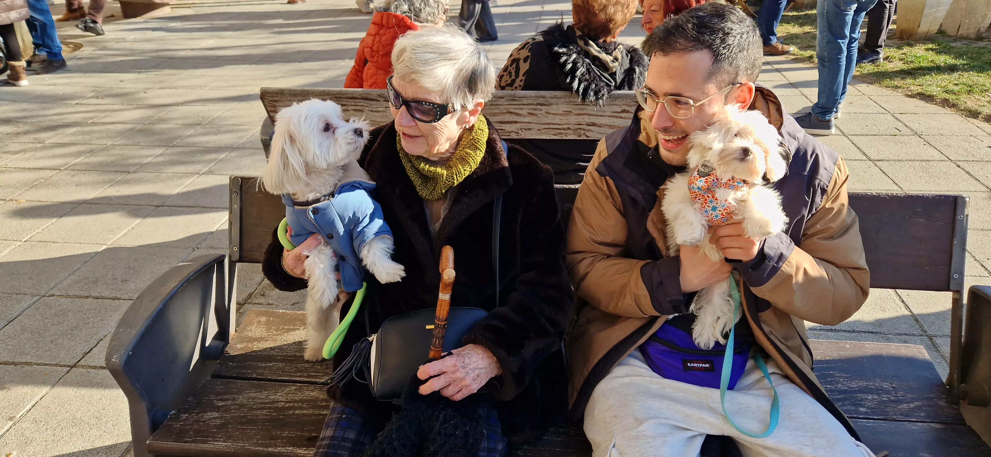 Bendición de animales por San Antón. Foto Myriam Martínez 