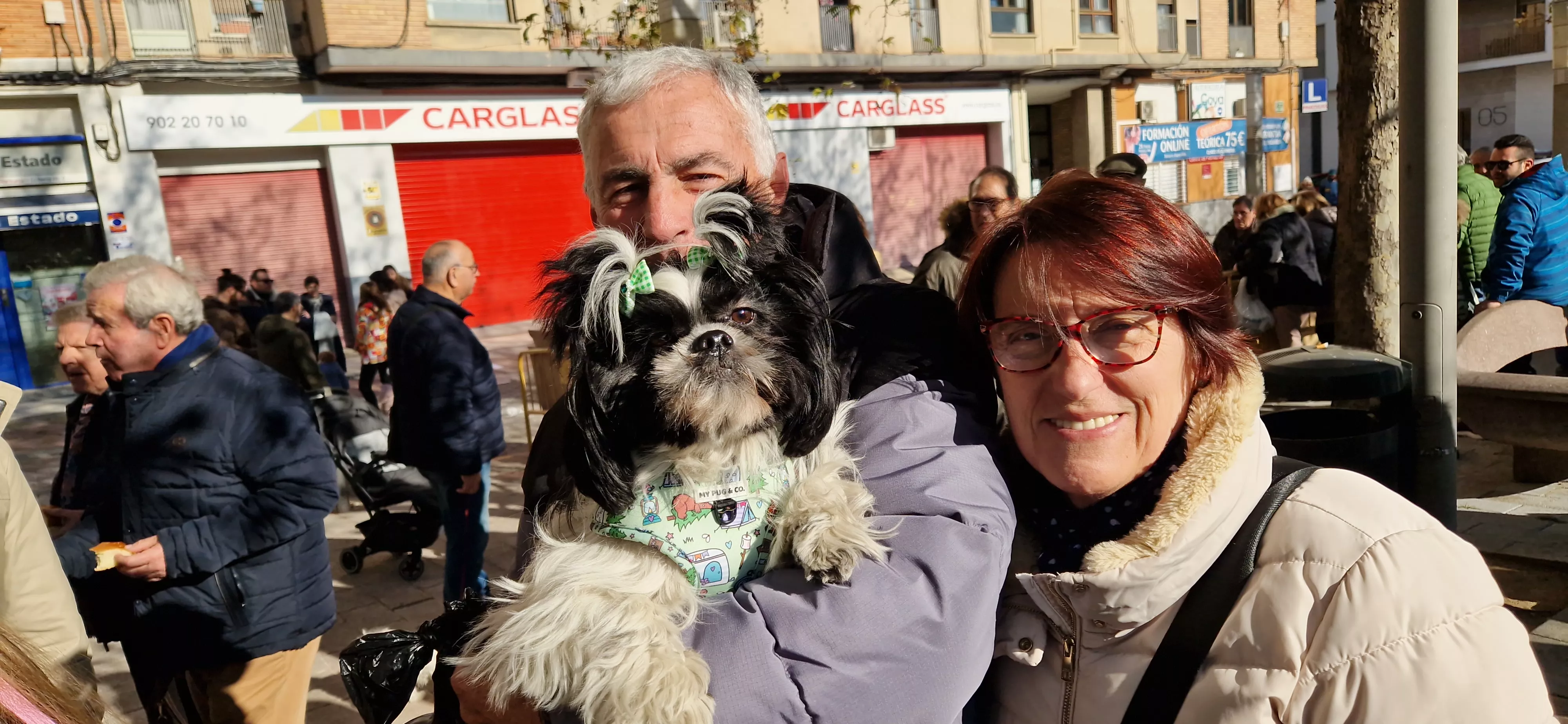 Bendición de animales por San Antón. Foto Myriam Martínez 