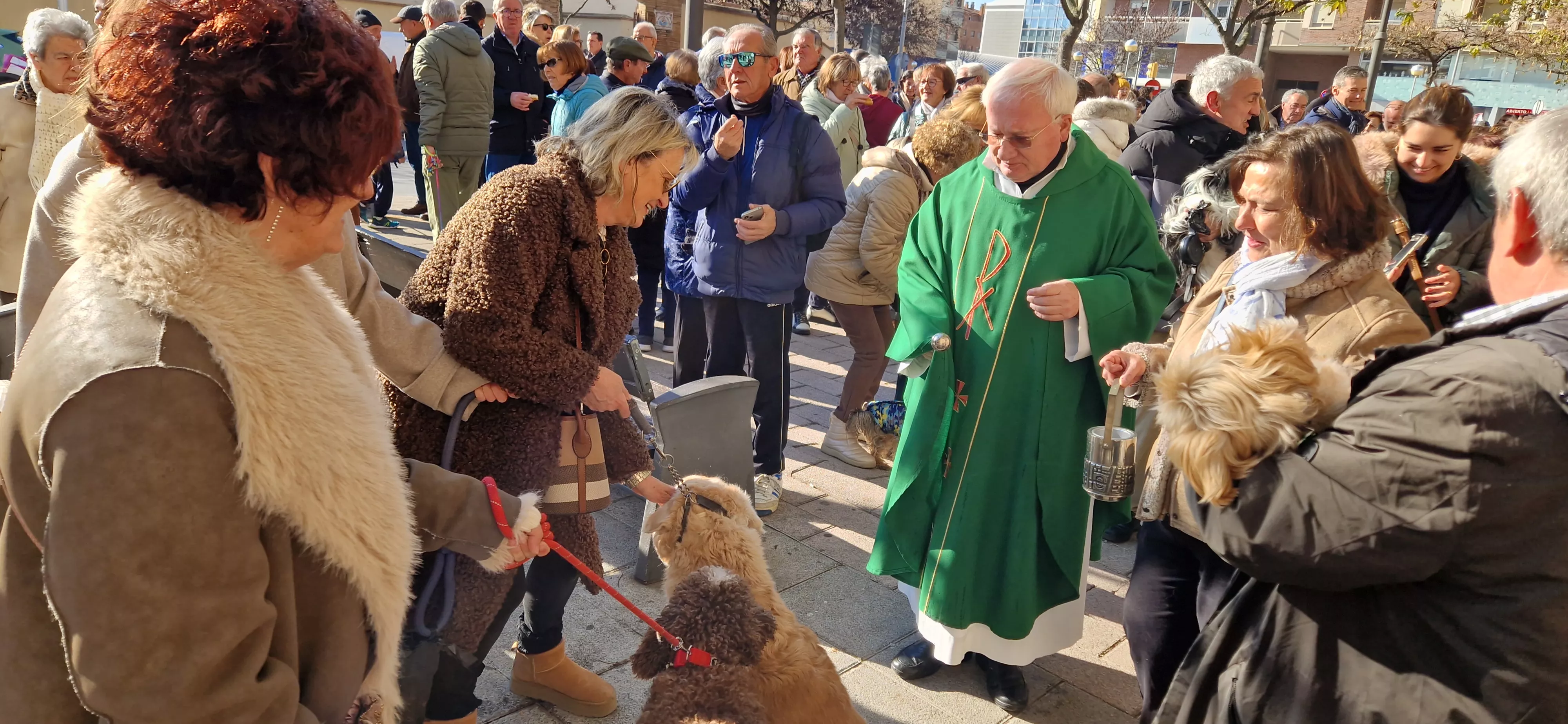 Bendición de animales por San Antón. Foto Myriam Martínez 