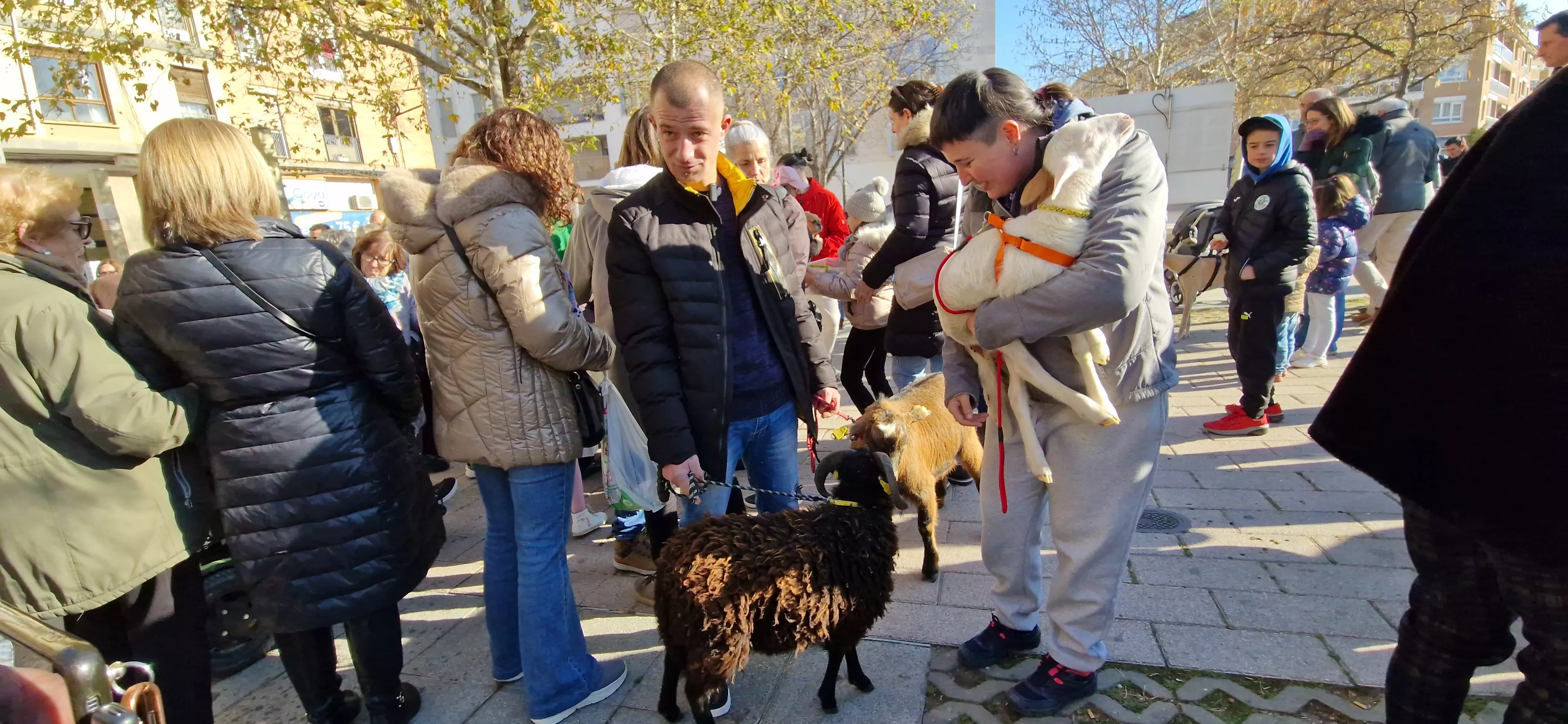 Bendición de animales por San Antón. Foto Myriam Martínez 