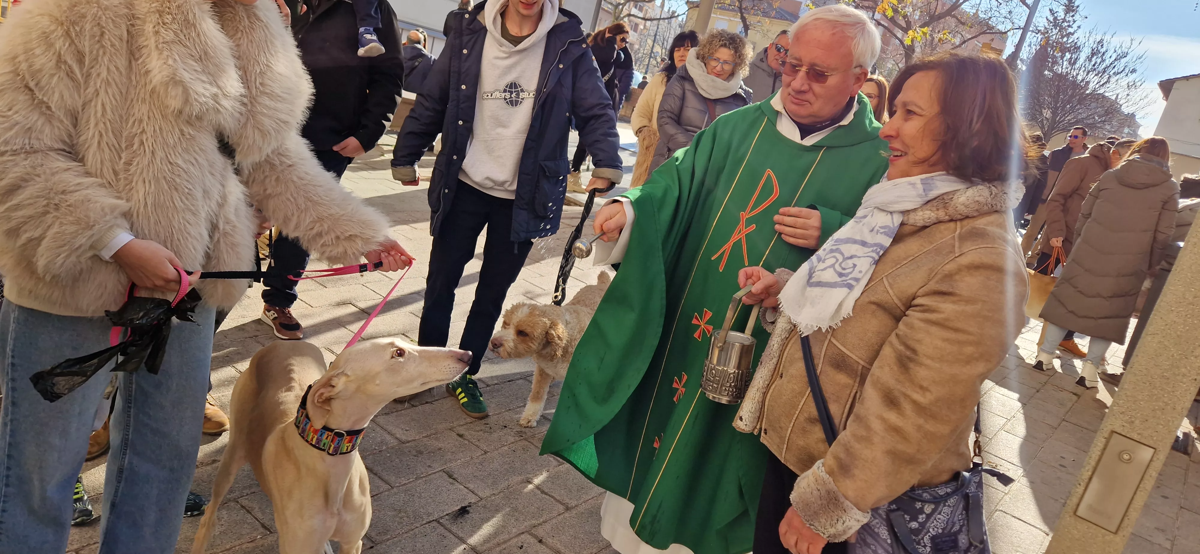Bendición de animales por San Antón. Foto Myriam Martínez 