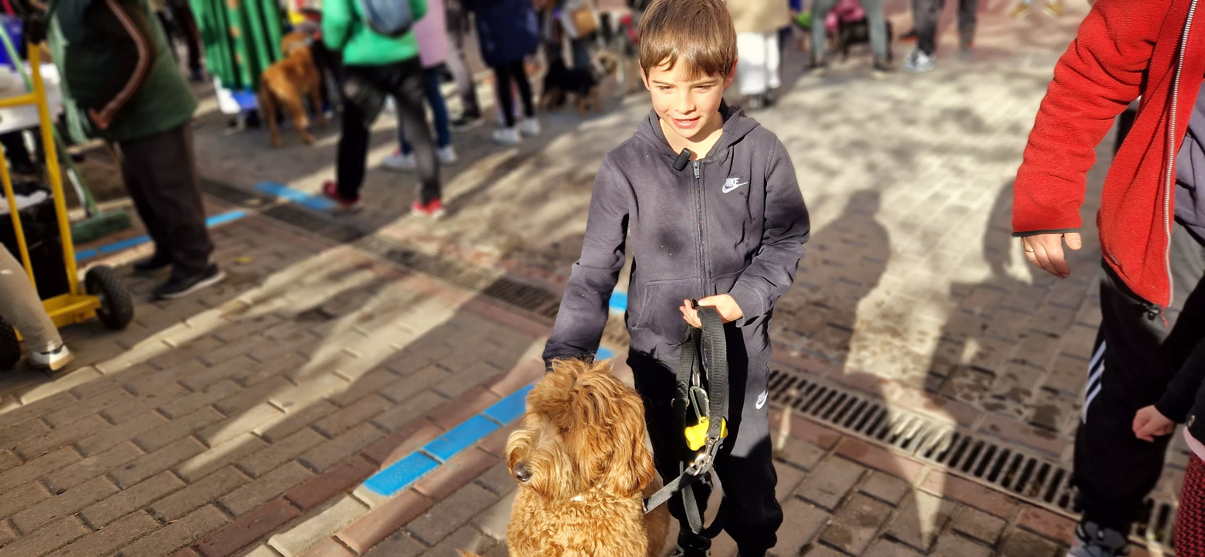 Bendición de animales por San Antón. Foto Myriam Martínez 