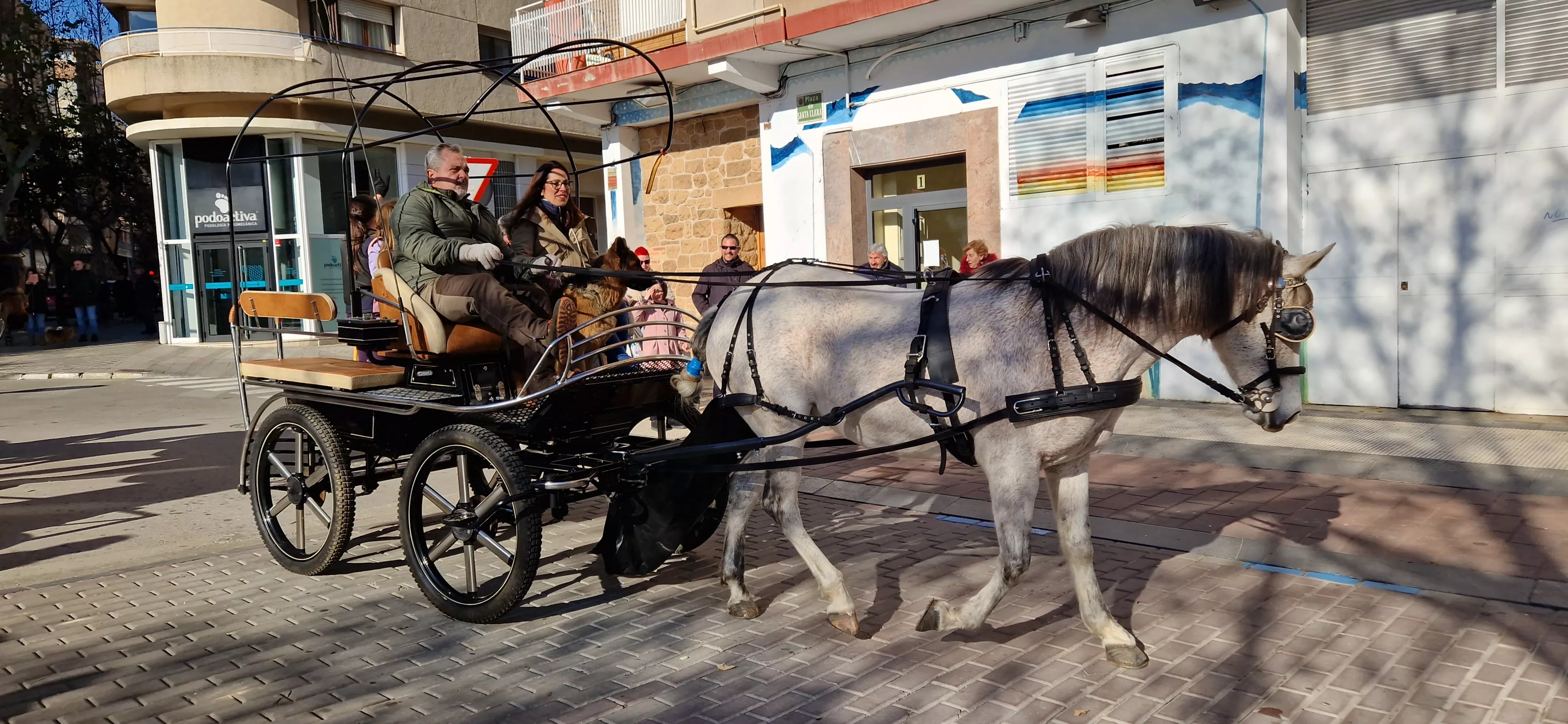 Bendición de animales por San Antón. Foto Myriam Martínez 