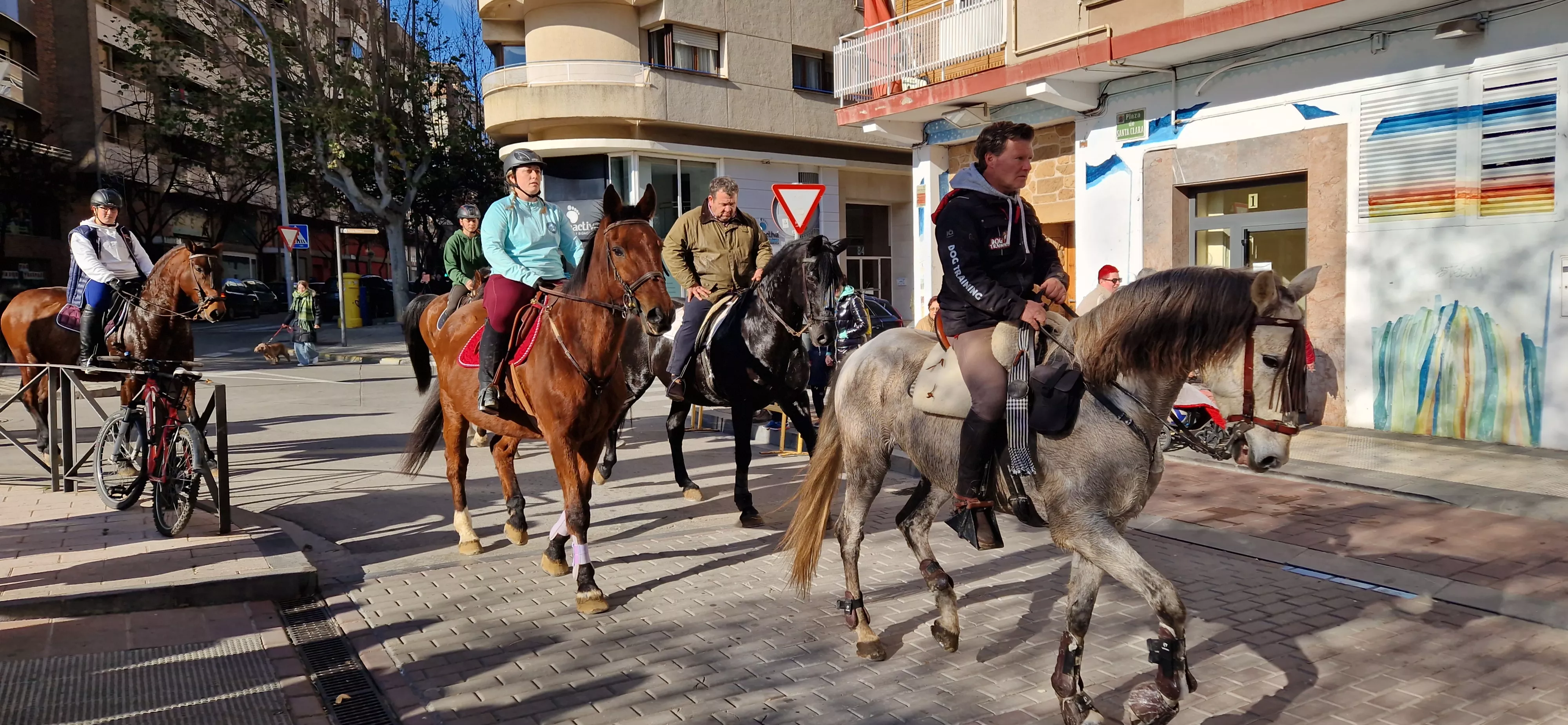 Bendición de animales por San Antón. Foto Myriam Martínez 