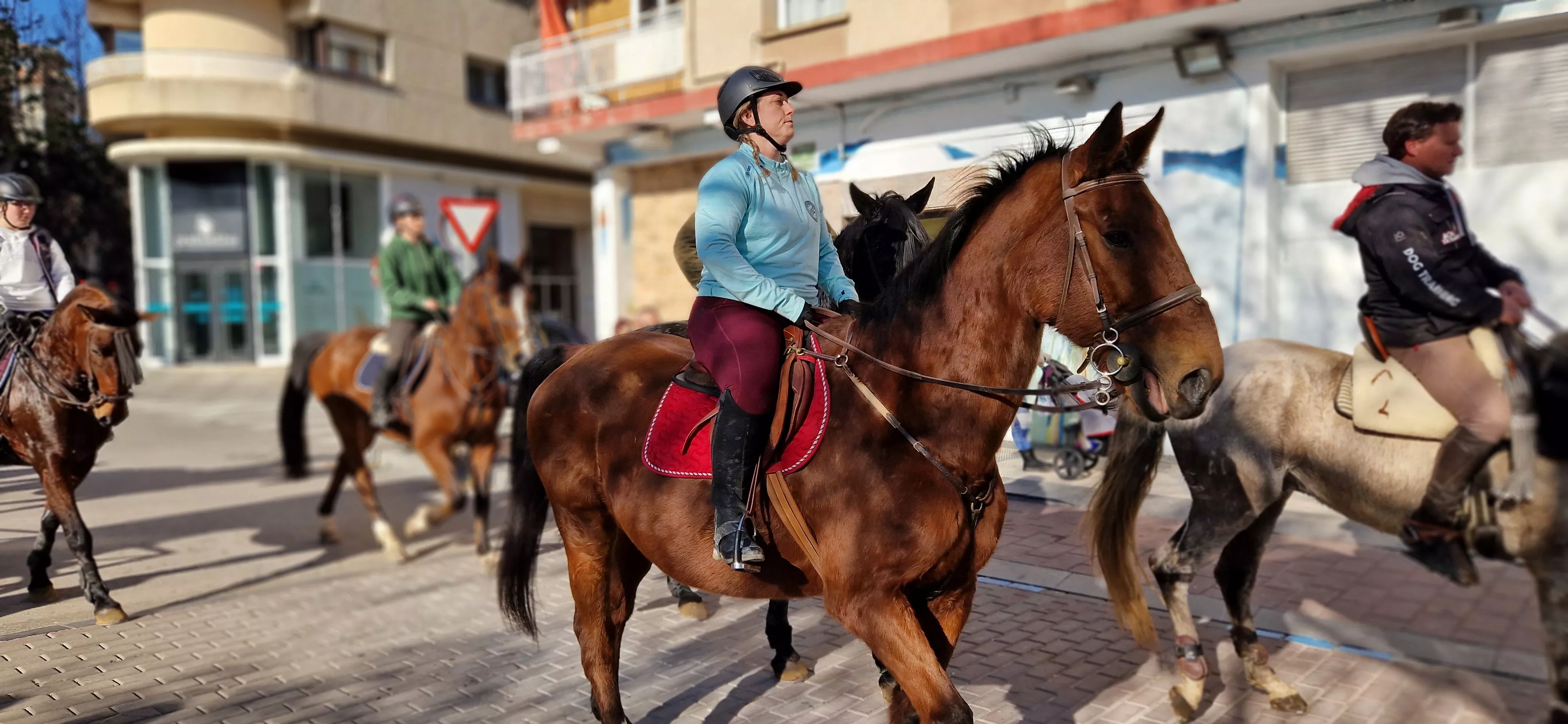 Bendición de animales por San Antón. Foto Myriam Martínez 