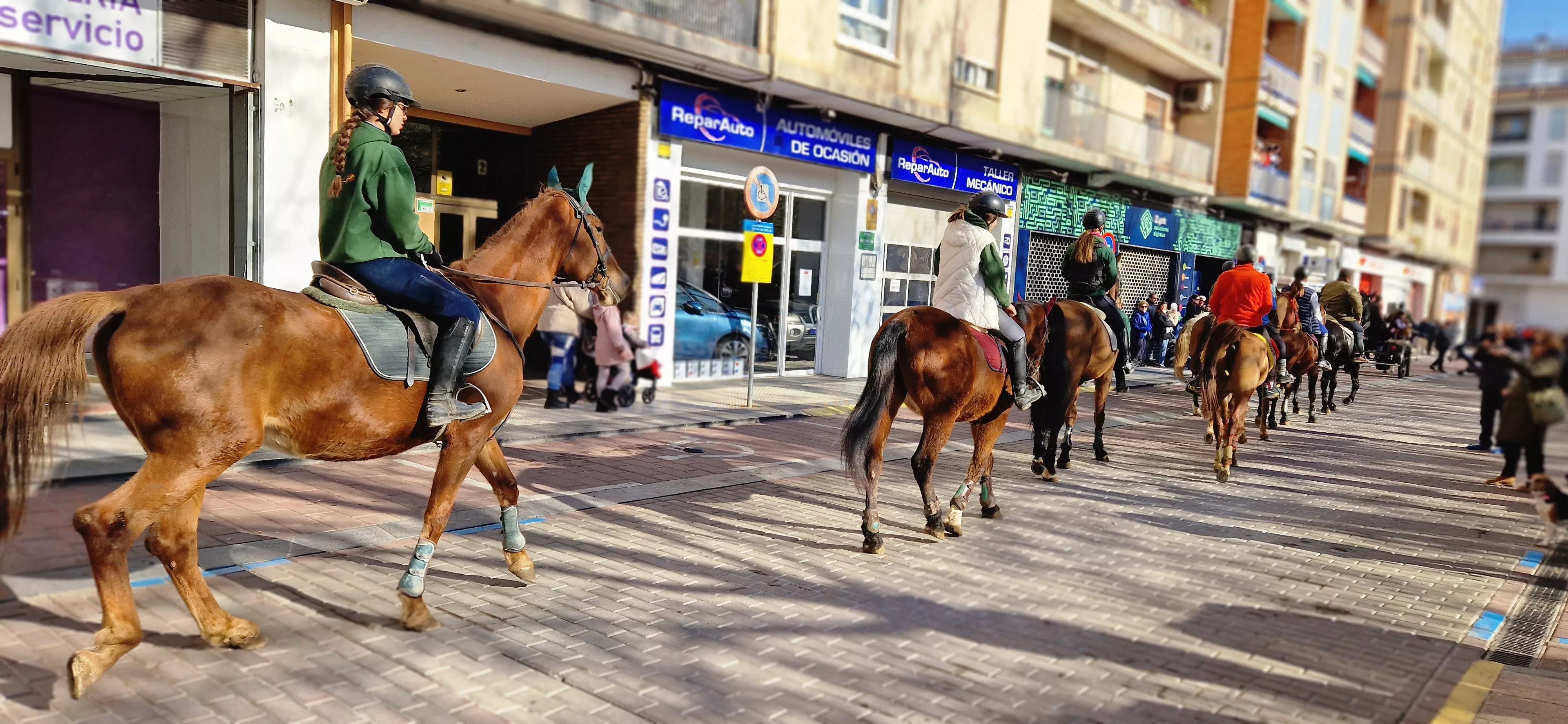 Bendición de animales por San Antón. Foto Myriam Martínez 