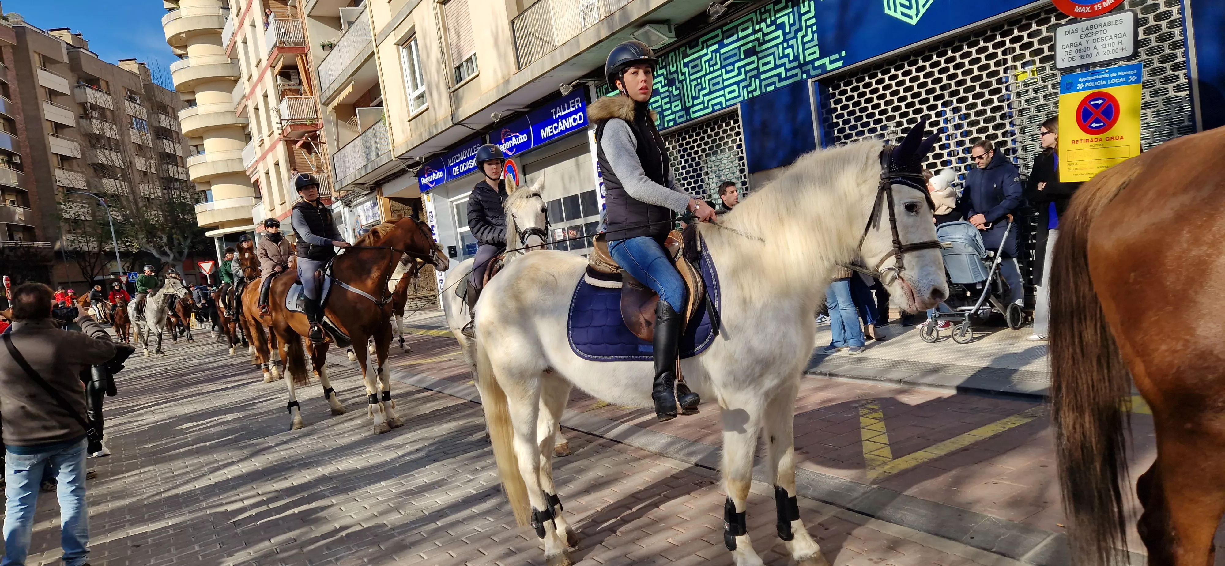 Bendición de animales por San Antón. Foto Myriam Martínez 