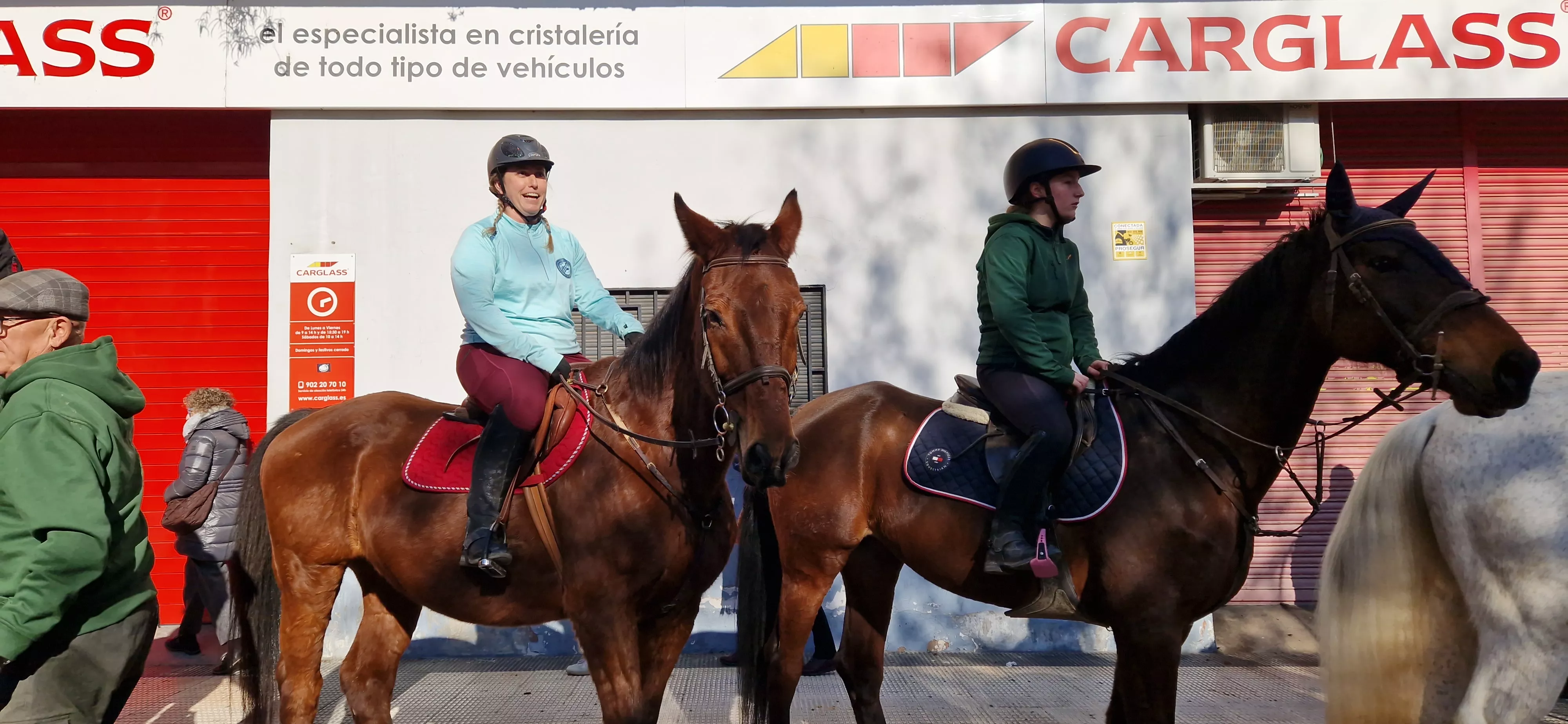 Bendición de animales por San Antón. Foto Myriam Martínez 