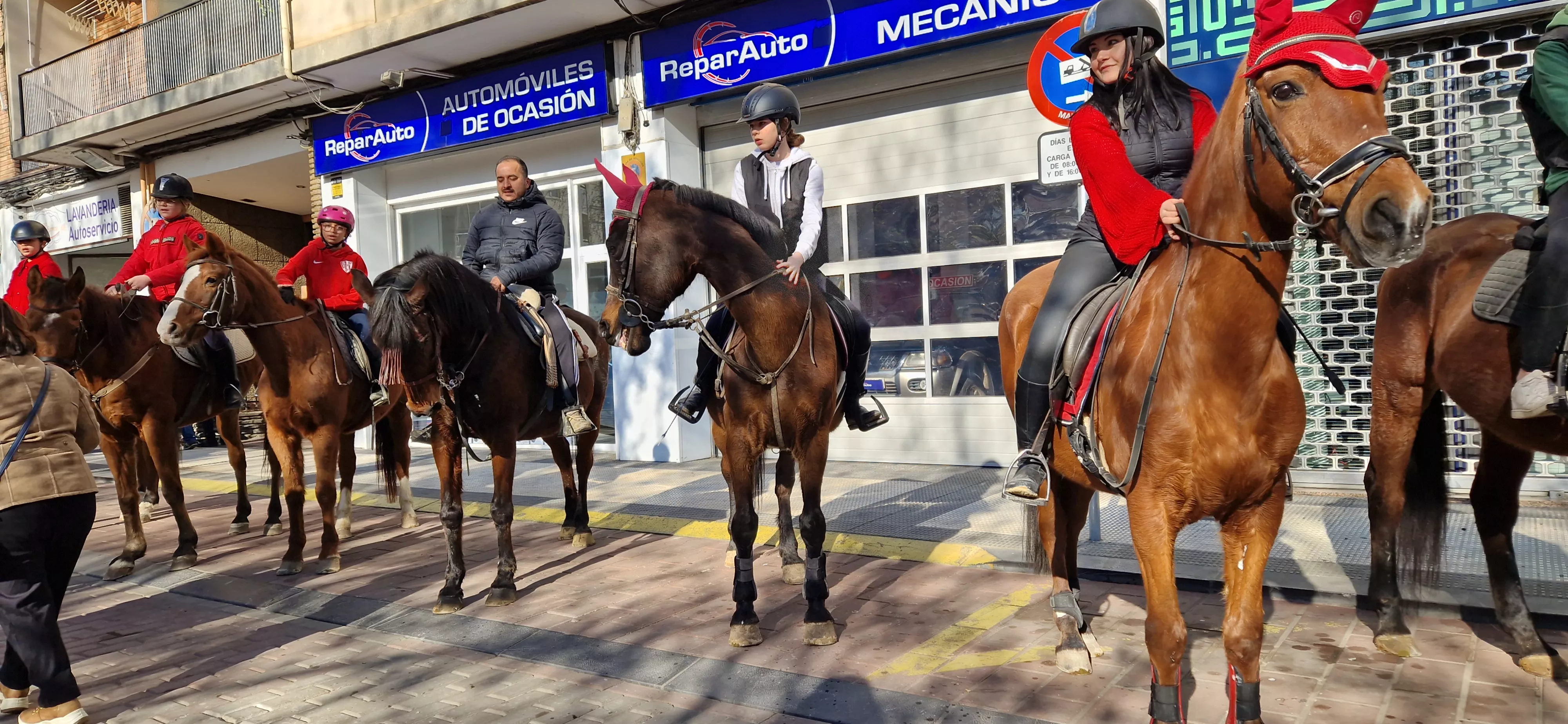 Bendición de animales por San Antón. Foto Myriam Martínez 