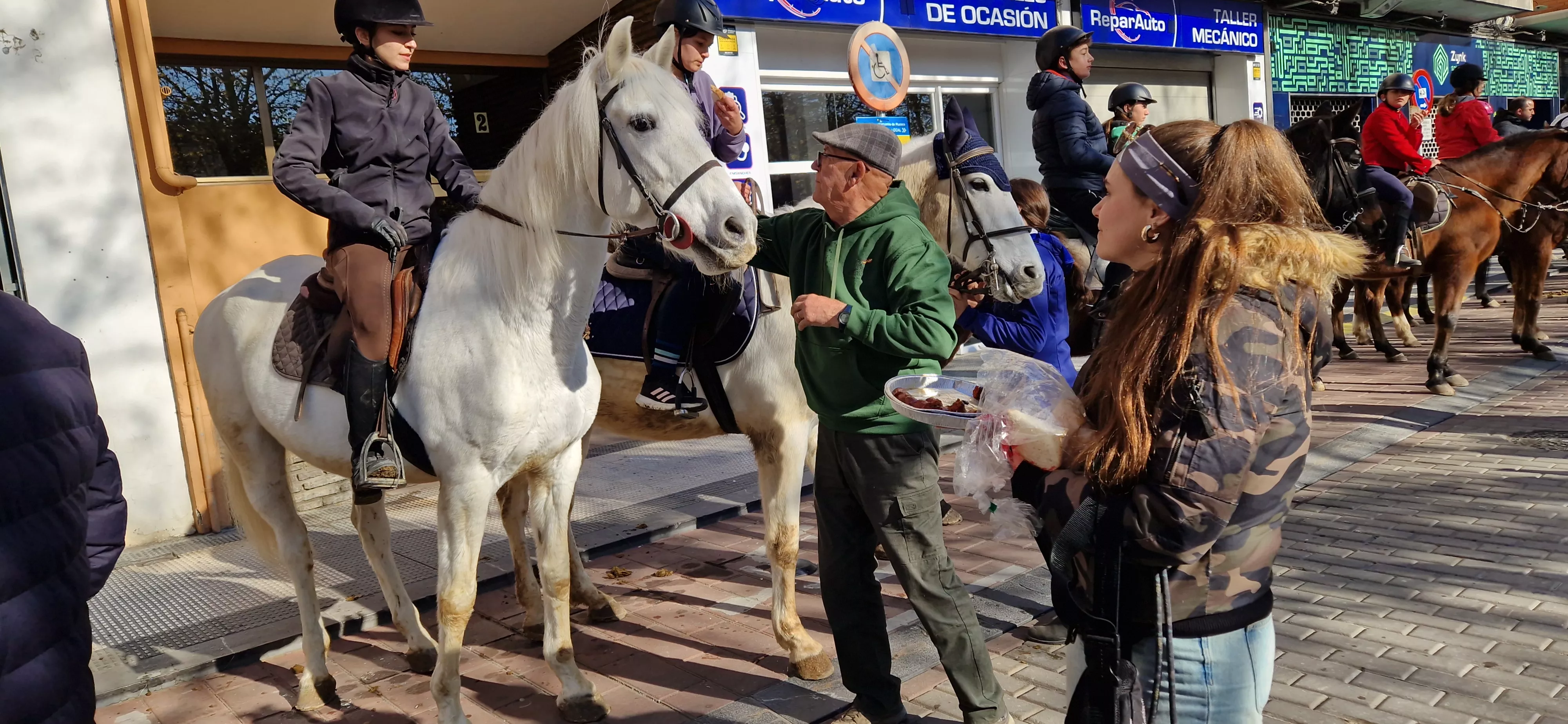 Bendición de animales por San Antón. Foto Myriam Martínez 