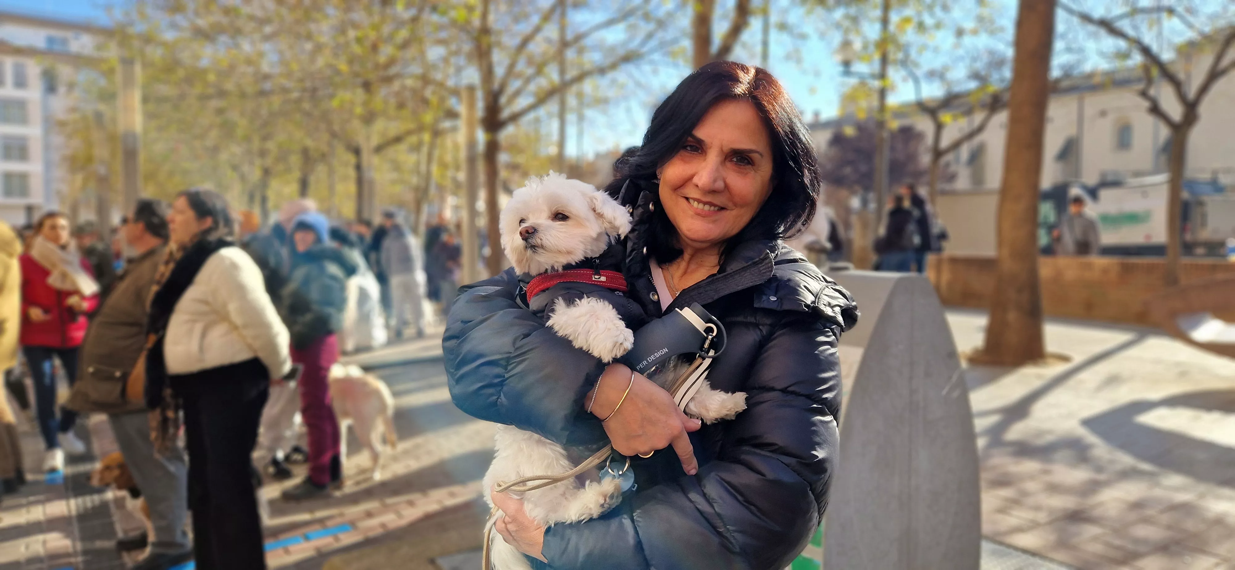 Bendición de animales por San Antón. Foto Myriam Martínez 