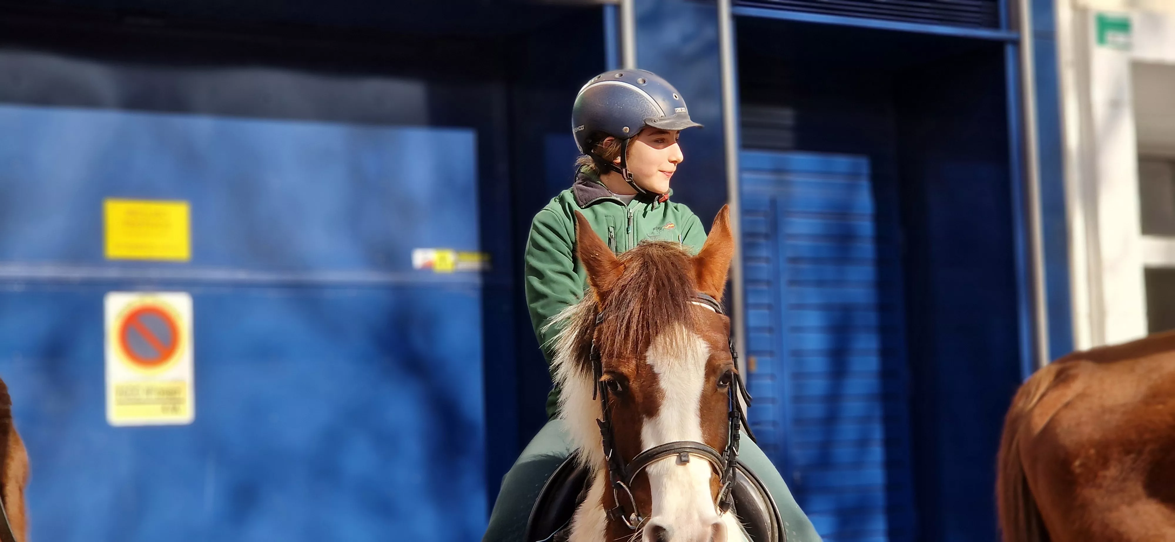 Bendición de animales por San Antón. Foto Myriam Martínez 