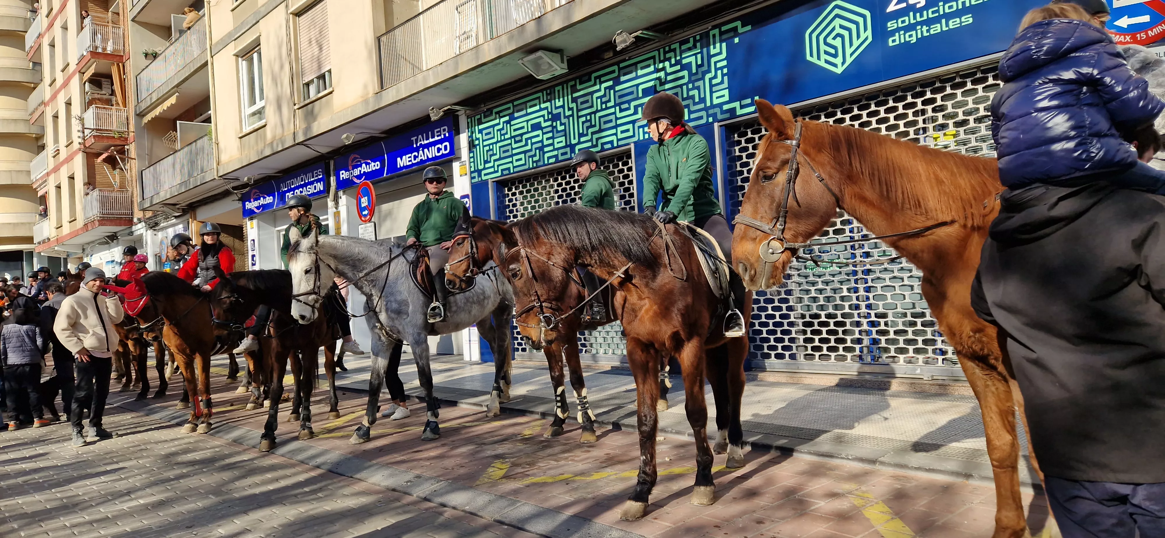 Bendición de animales por San Antón. Foto Myriam Martínez 