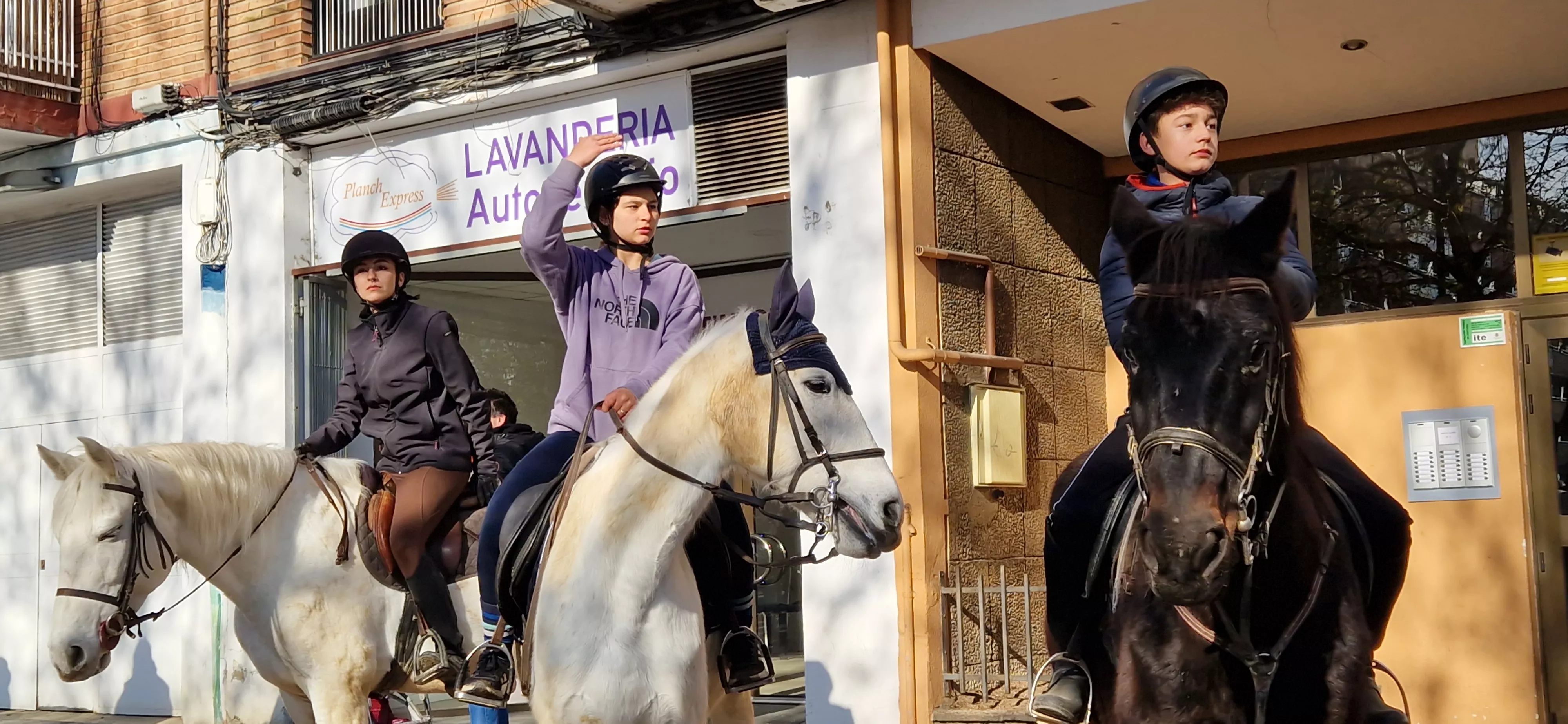 Bendición de animales por San Antón. Foto Myriam Martínez 