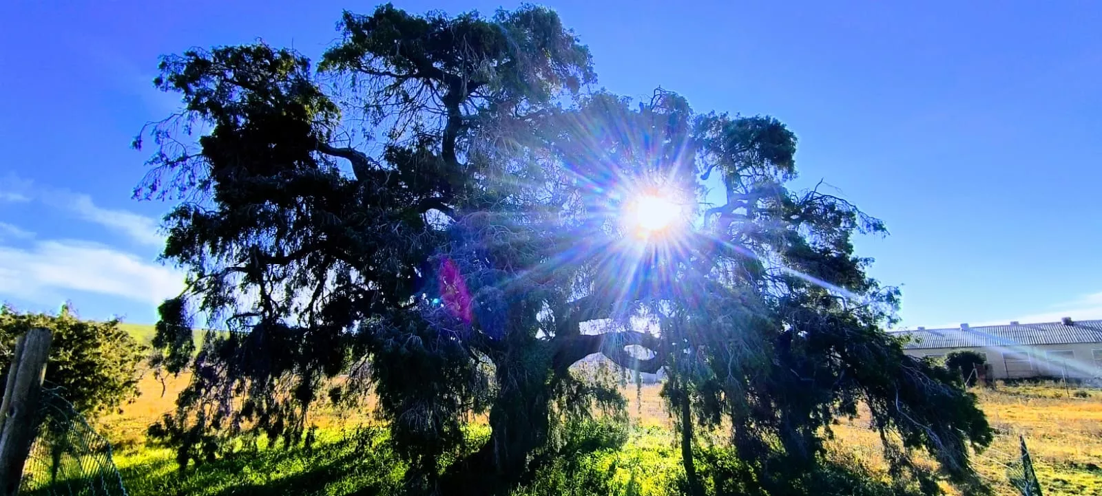 Un paseo muy sencillo, con inicio en el embalse de Montearagón. Foto Joaquín Santafé