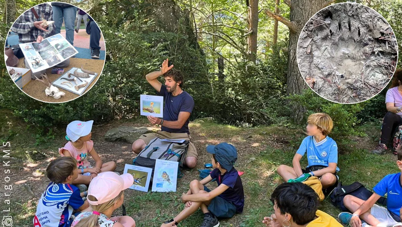 Taller de huellas y rastros de animales que organiza el Club de Montaña Nabaín.