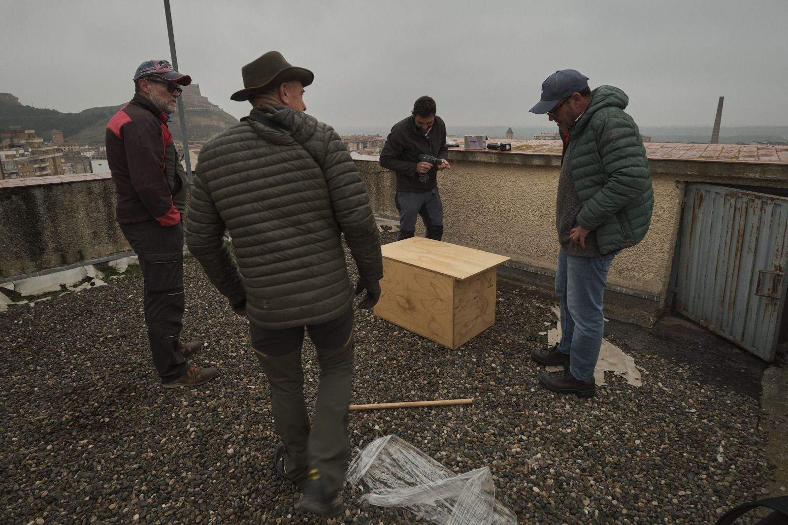 La caja nido fue instalada por Carlos Perallón en colaboración de ornitólogos locales y voluntarios de Ecologistas en Acción