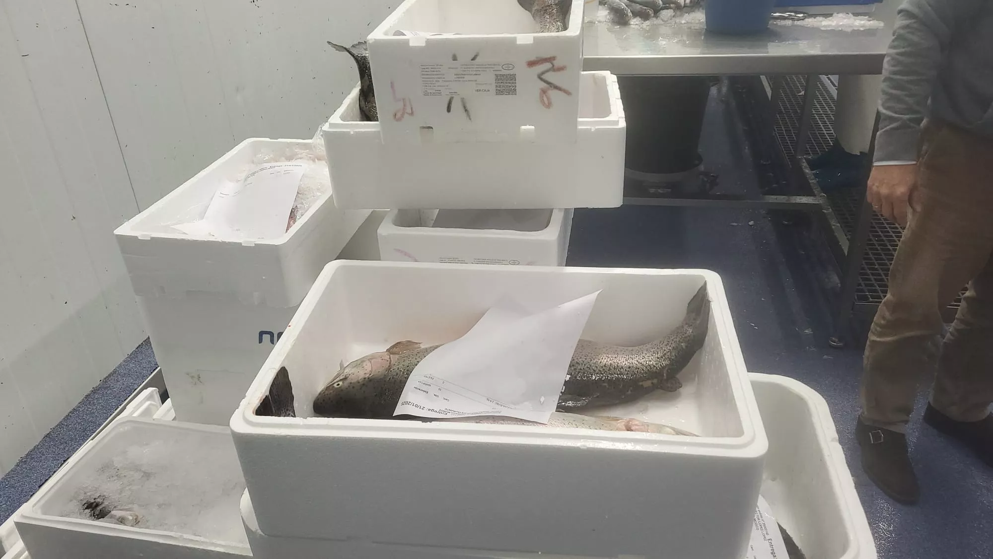  Pablo Garriga en La Coruñesa de Huesca