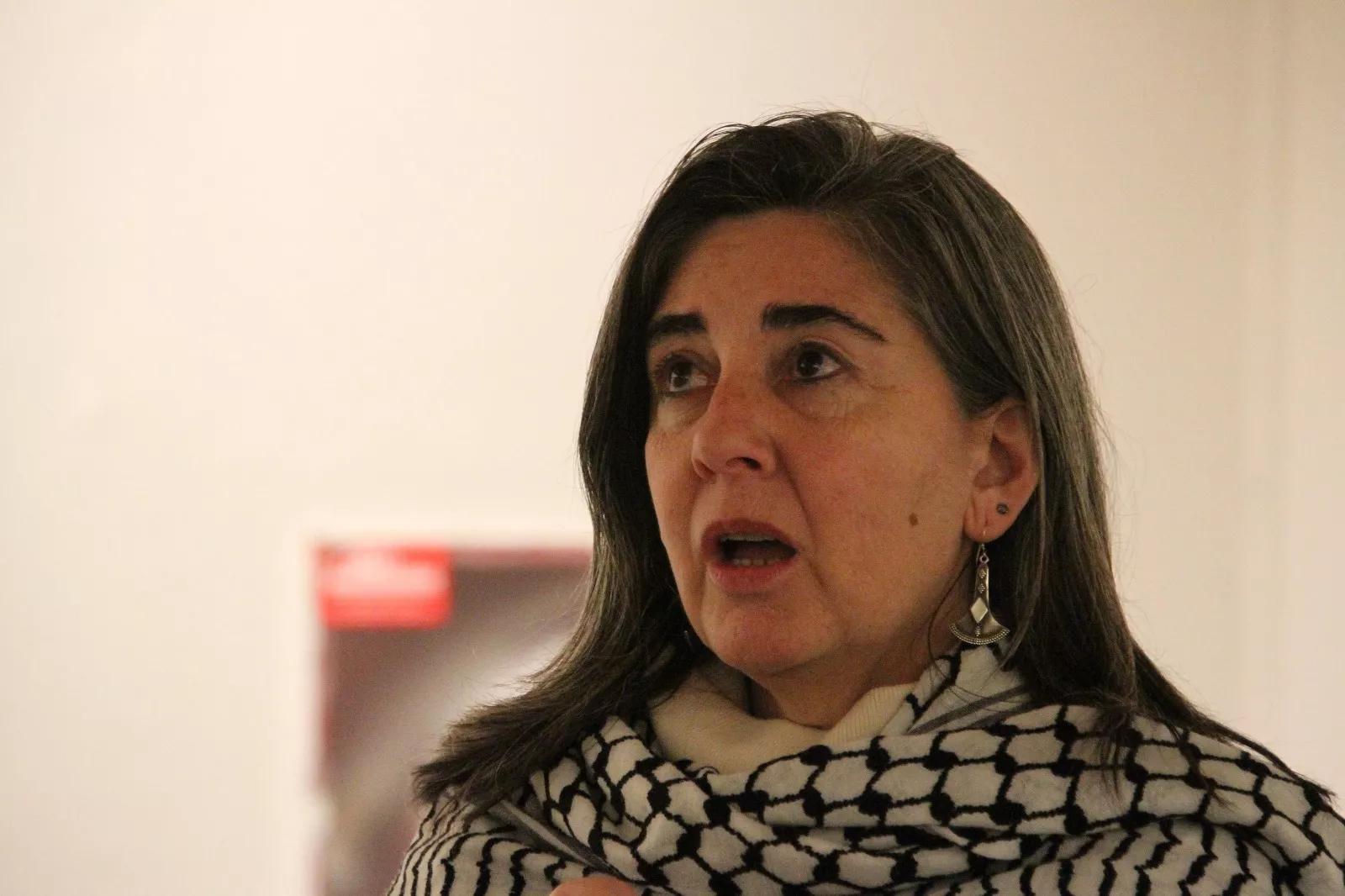 Exposición de Sandra  Barrilaro "De la ocupación al genocidio" en Huesca. Foto Carlos Neofato