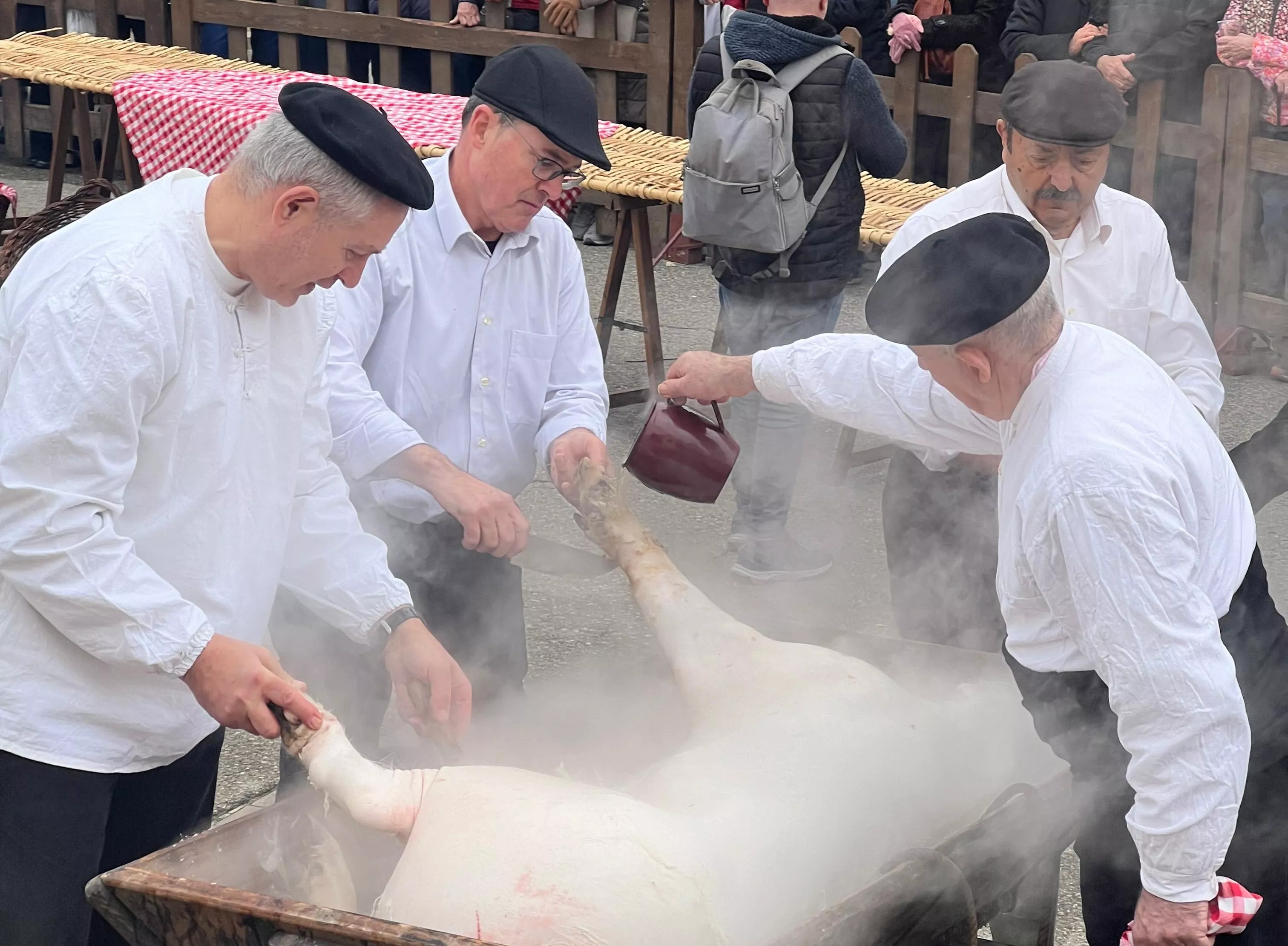 Celebración de la 36 edición de la Festa del Tossino de Albelda.