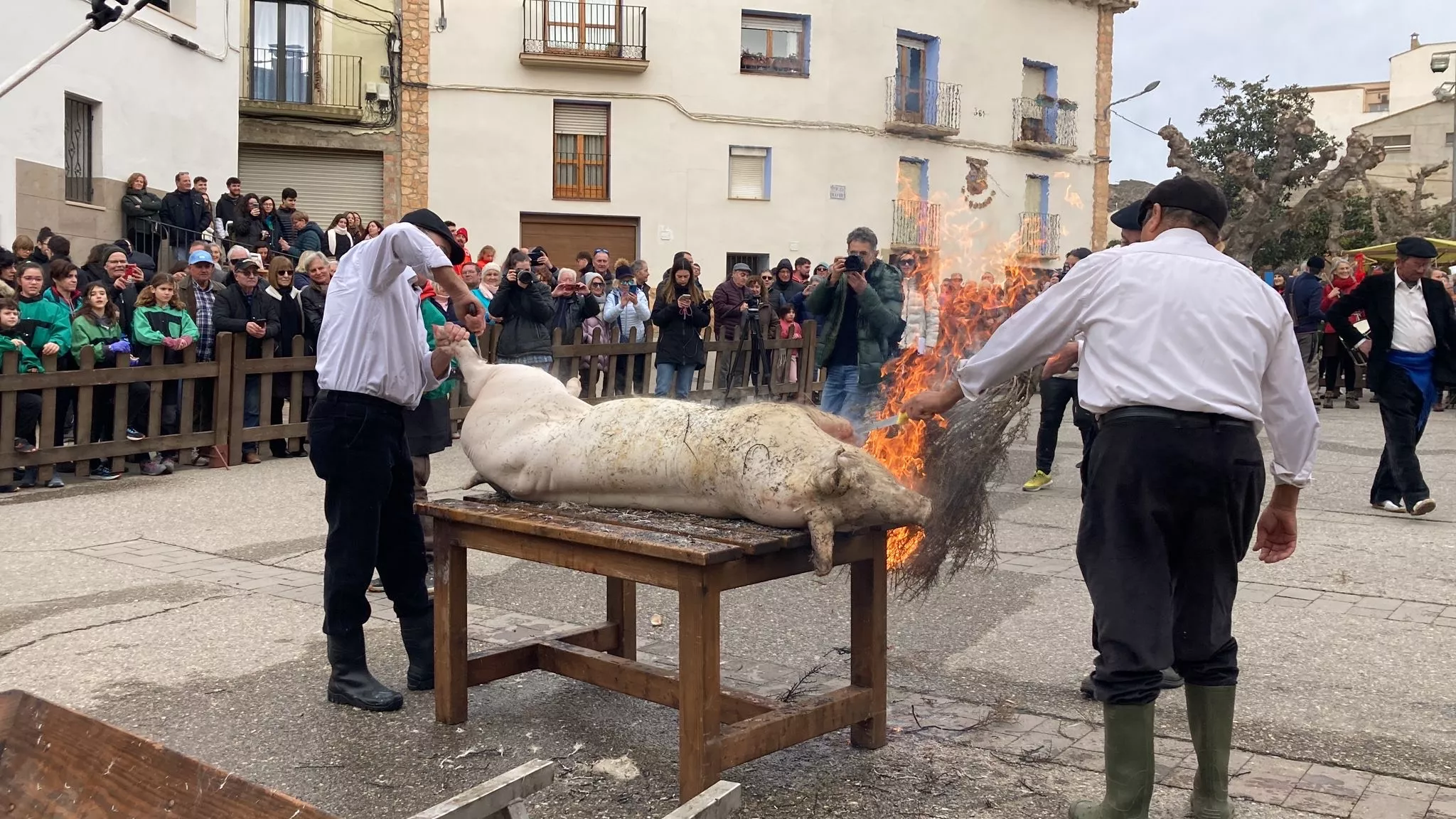 Imagen de la Festa del Tossino en Albelda.