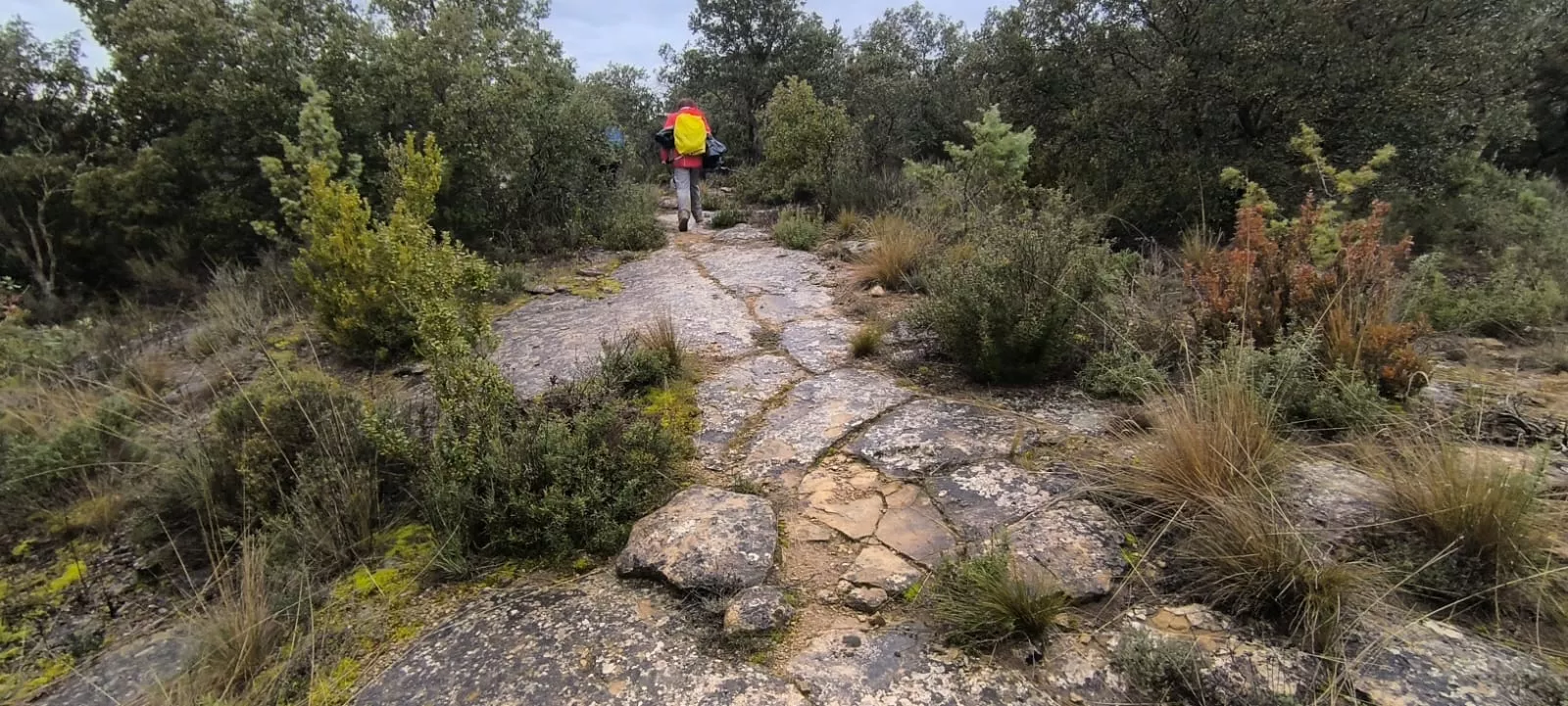 Excursión entre Piedratajada y Valpalmas organizada por la Universidad de Zaragoza. Foto Joaquín Santafé