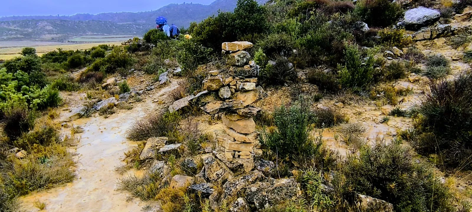 Excursión entre Piedratajada y Valpalmas organizada por la Universidad de Zaragoza. Foto Joaquín Santafé