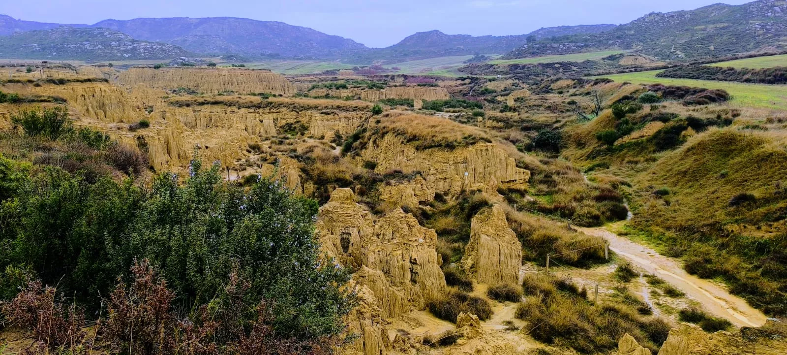 Excursión entre Piedratajada y Valpalmas organizada por la Universidad de Zaragoza. Foto Joaquín Santafé