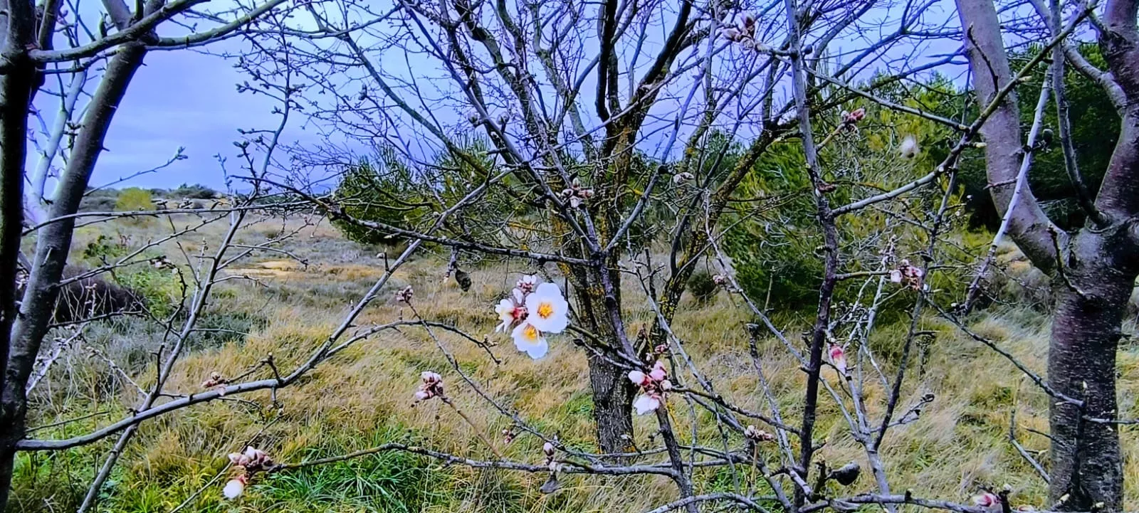 Excursión entre Piedratajada y Valpalmas organizada por la Universidad de Zaragoza. Foto Joaquín Santafé