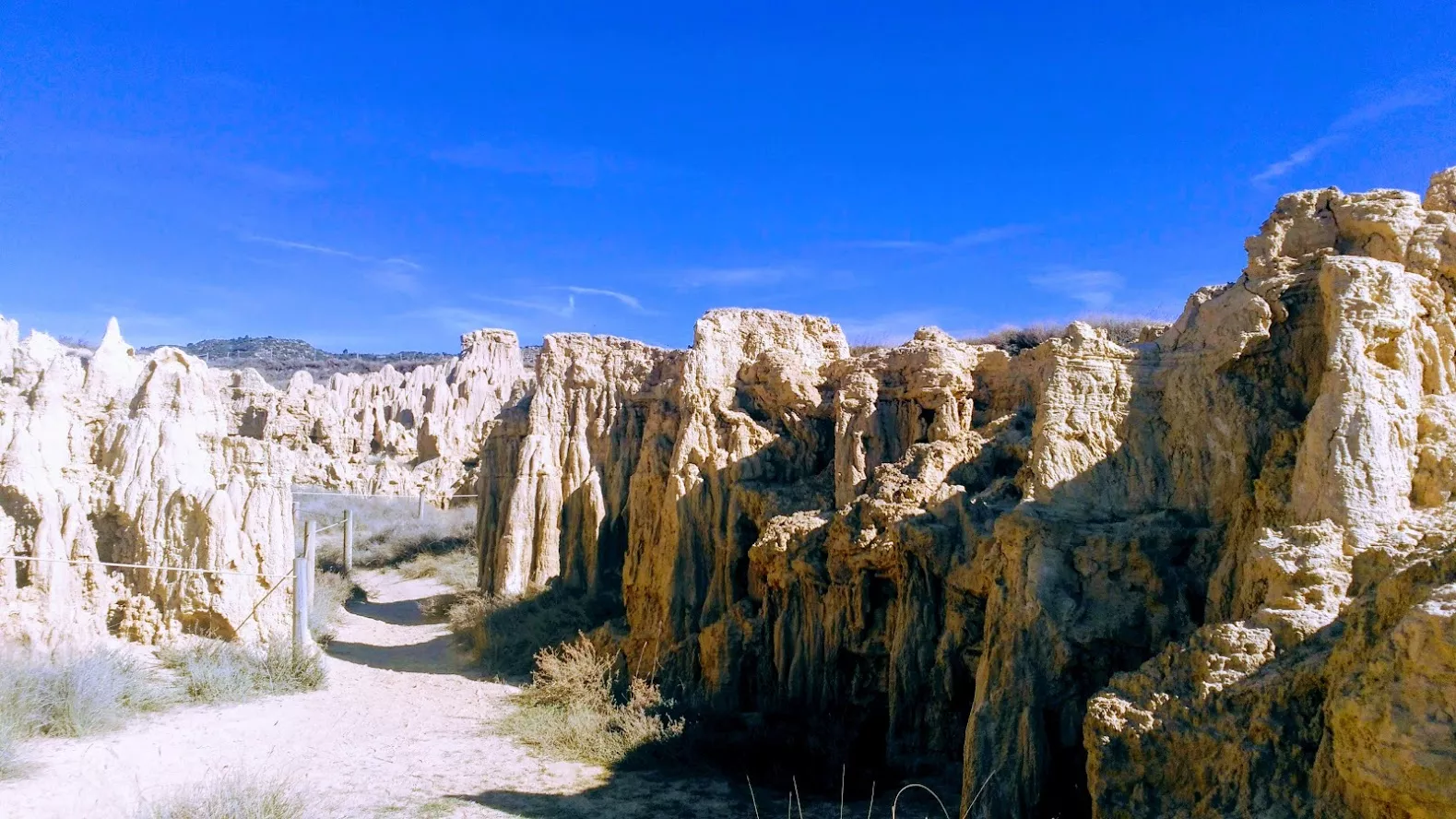 Excursión entre Piedratajada y Valpalmas organizada por la Universidad de Zaragoza. Foto Joaquín Santafé