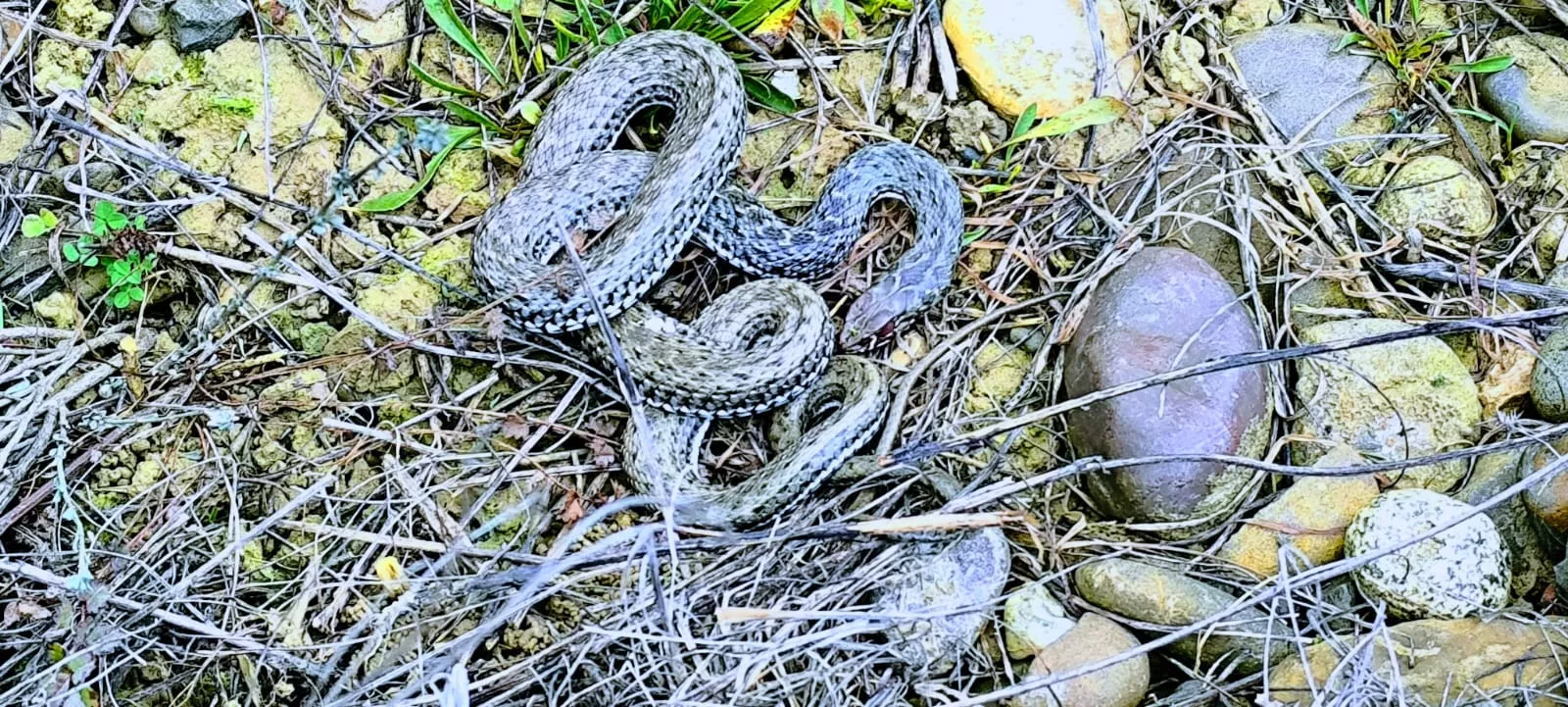 Excursión entre Piedratajada y Valpalmas organizada por la Universidad de Zaragoza. Foto Joaquín Santafé