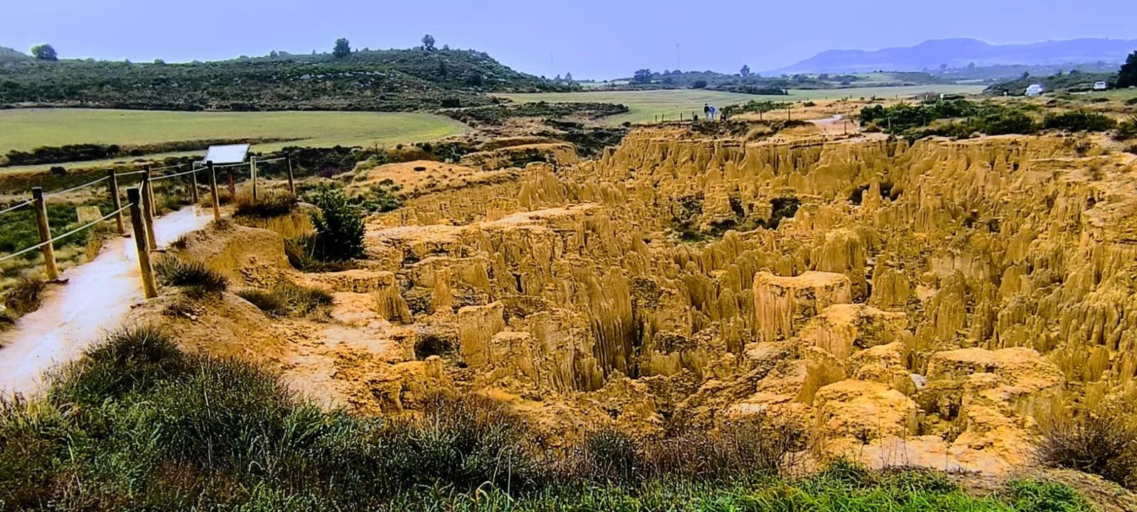 Excursión entre Piedratajada y Valpalmas organizada por la Universidad de Zaragoza. Foto Joaquín Santafé