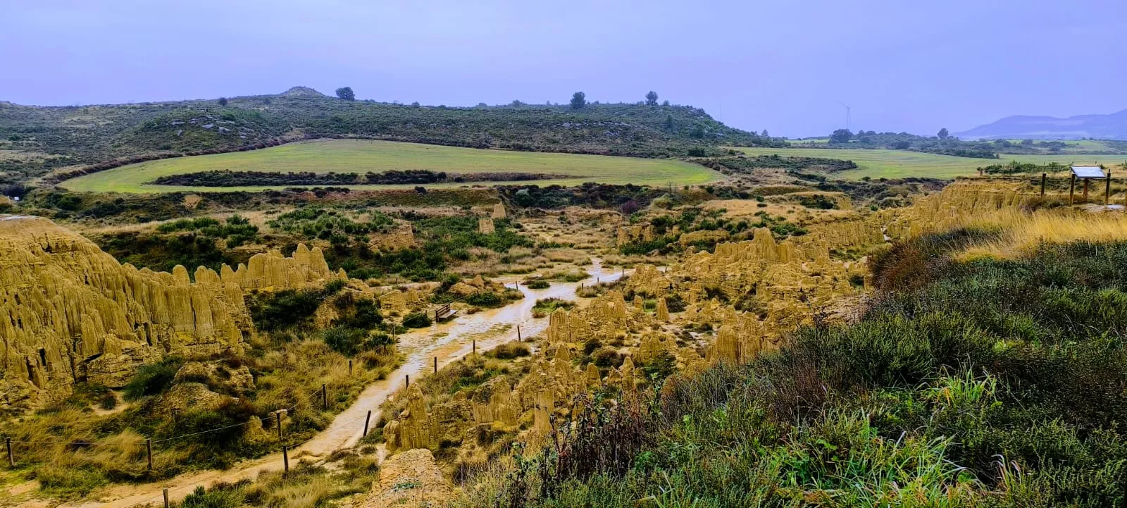 Excursión entre Piedratajada y Valpalmas organizada por la Universidad de Zaragoza. Foto Joaquín Santafé