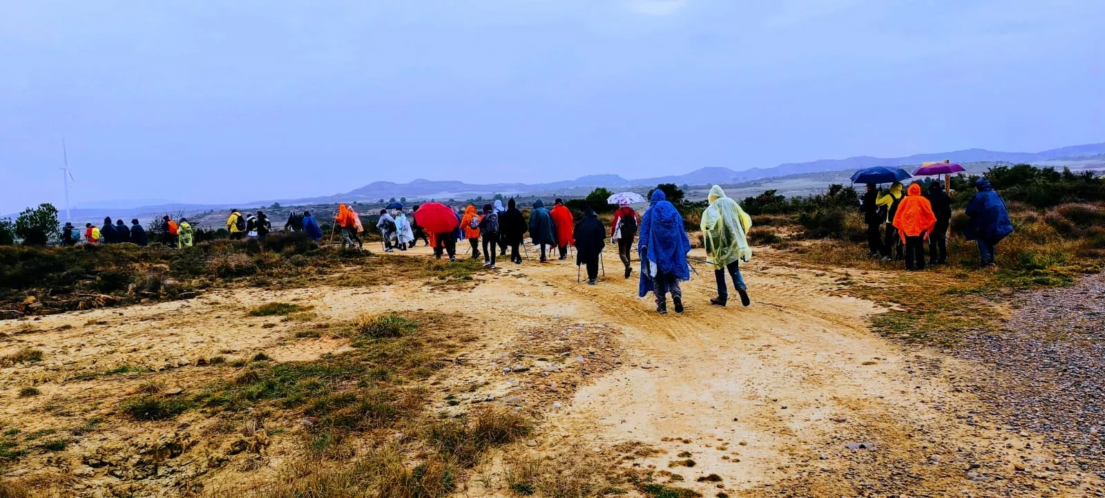 Excursión entre Piedratajada y Valpalmas organizada por la Universidad de Zaragoza. Foto Joaquín Santafé