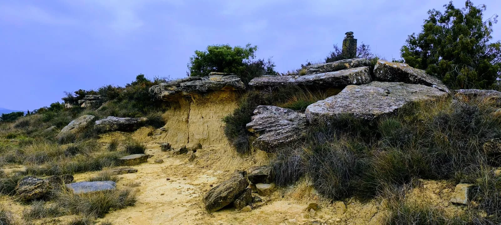 Excursión entre Piedratajada y Valpalmas organizada por la Universidad de Zaragoza. Foto Joaquín Santafé