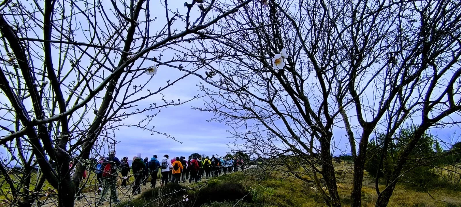 Excursión entre Piedratajada y Valpalmas organizada por la Universidad de Zaragoza. Foto Joaquín Santafé